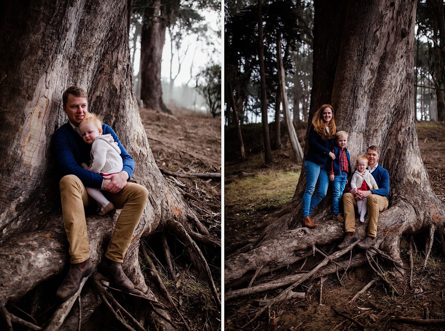 Dad cuddles toddler on tree roots, then family poses at eucalyptus base