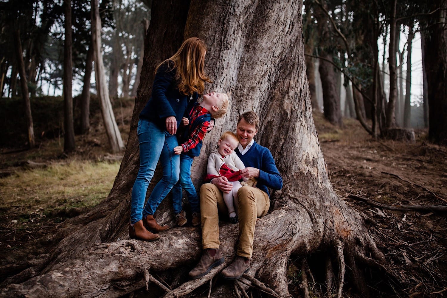 Family laughing together at the base of a big eucalyptus tree