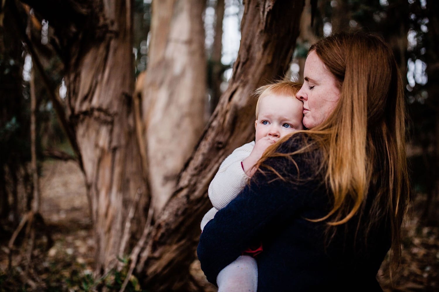 Mom kisses her baby girl's head among foggy eucalyptus trunks