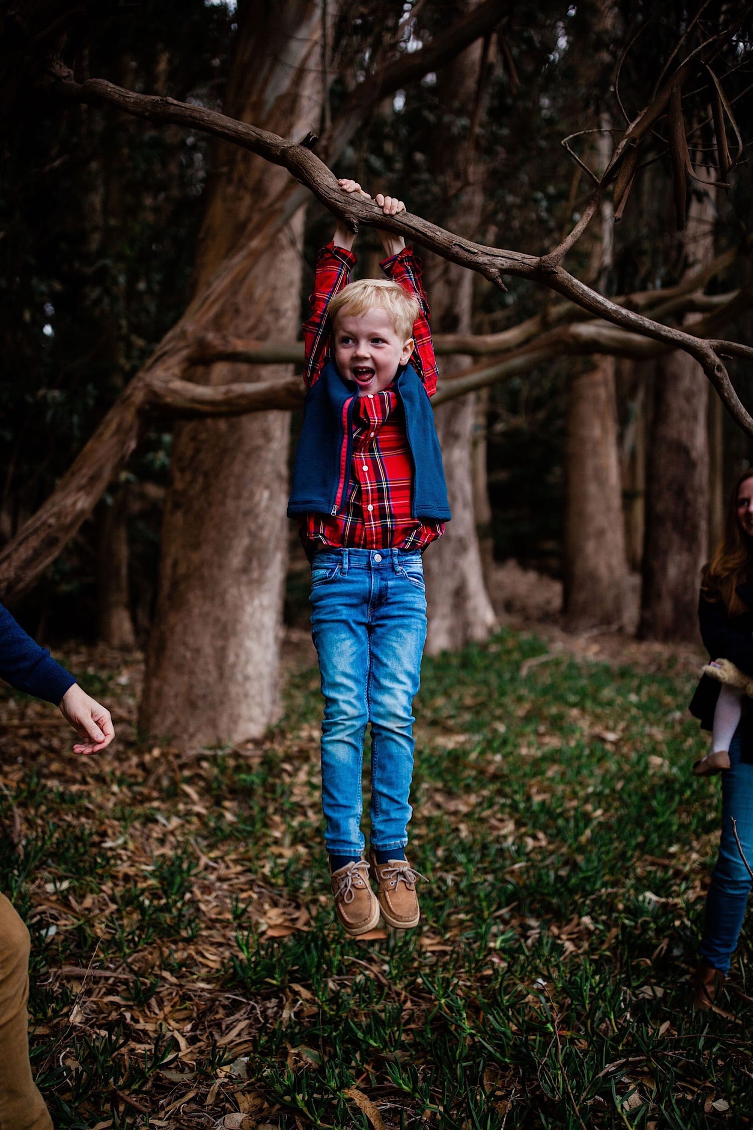 Boy laughs while swinging from a low eucalyptus branch