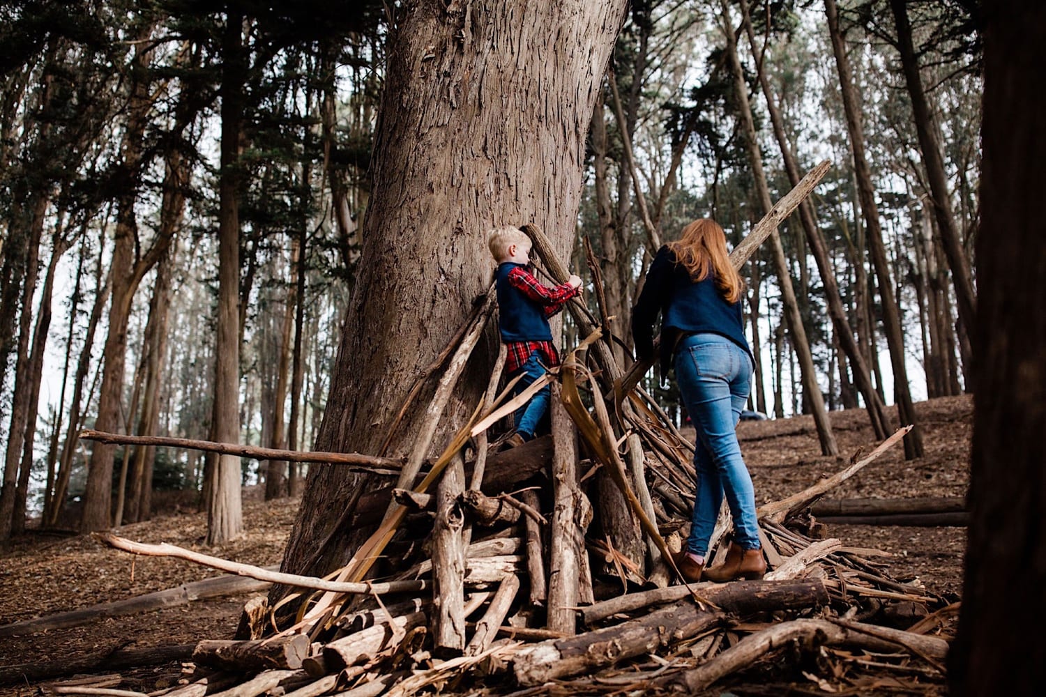 Mom and son stack branches into a fort against a eucalyptus trunk