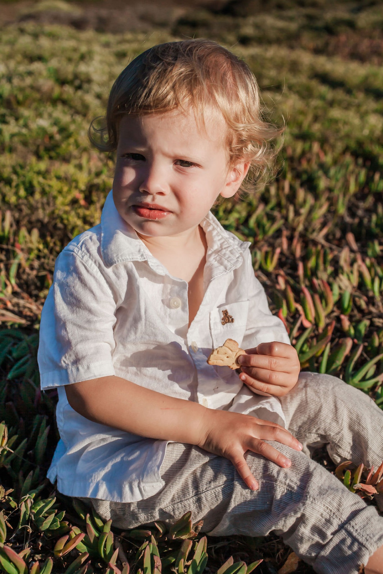 A toddler with reddish-blonde hair sits in golden afternoon sunlight on scrubby coastal grassland, holding something small and gazing downward with a gentle expression