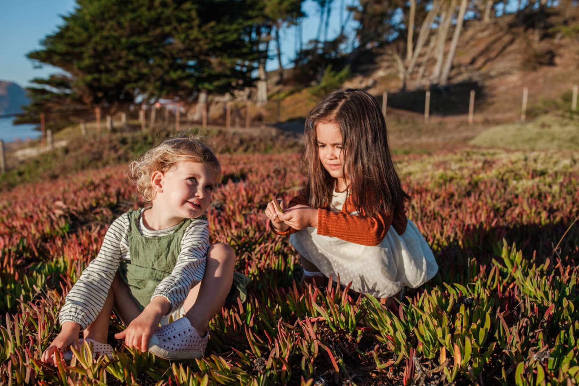 Two young girls crouch together among rust-colored coastal wildflowers, sharing a moment of connection in golden afternoon sunlight