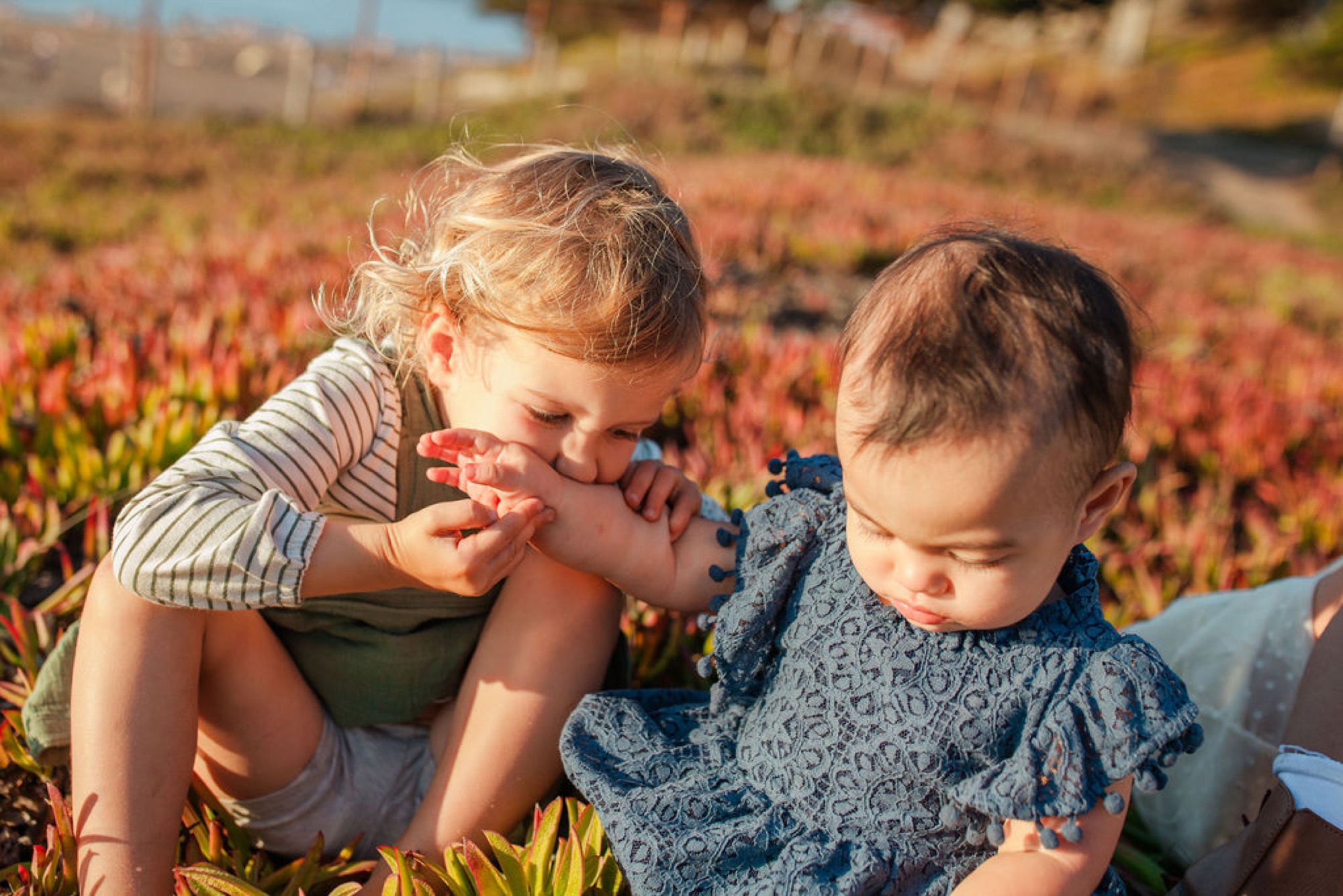Two toddlers sit close together in a wildflower field, one eating berries while golden afternoon light bathes the colorful blooms