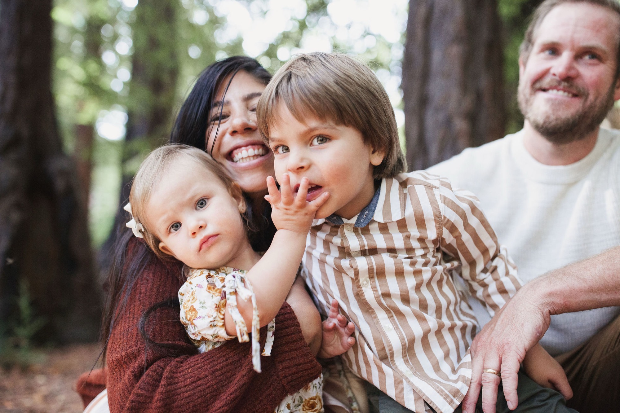 A family of four smiles together among tall redwoods, with warm afternoon light filtering through the canopy behind them