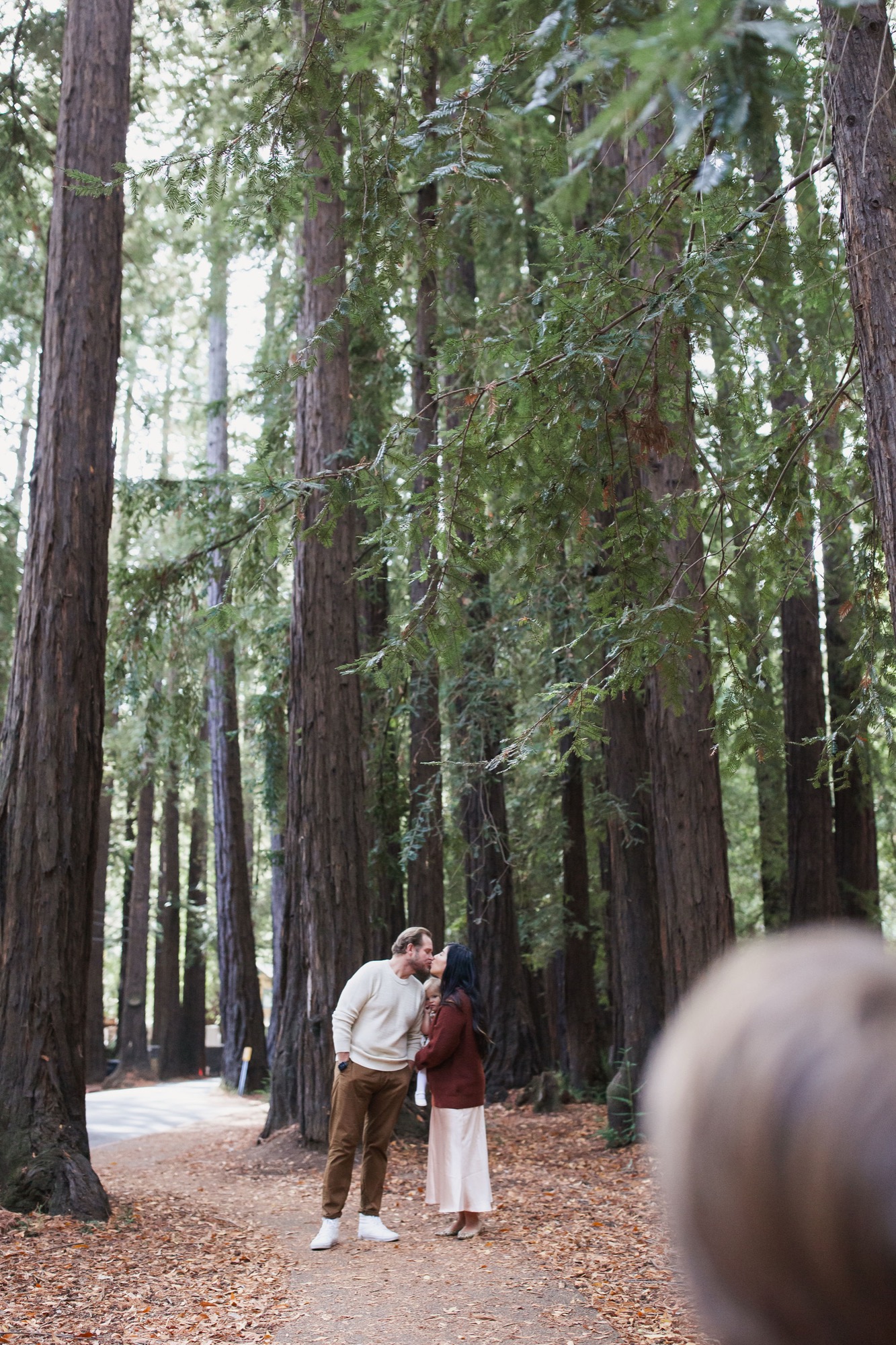 A couple stands together on a redwood forest path, dappled sunlight filtering through towering trees onto the brown needle-covered ground