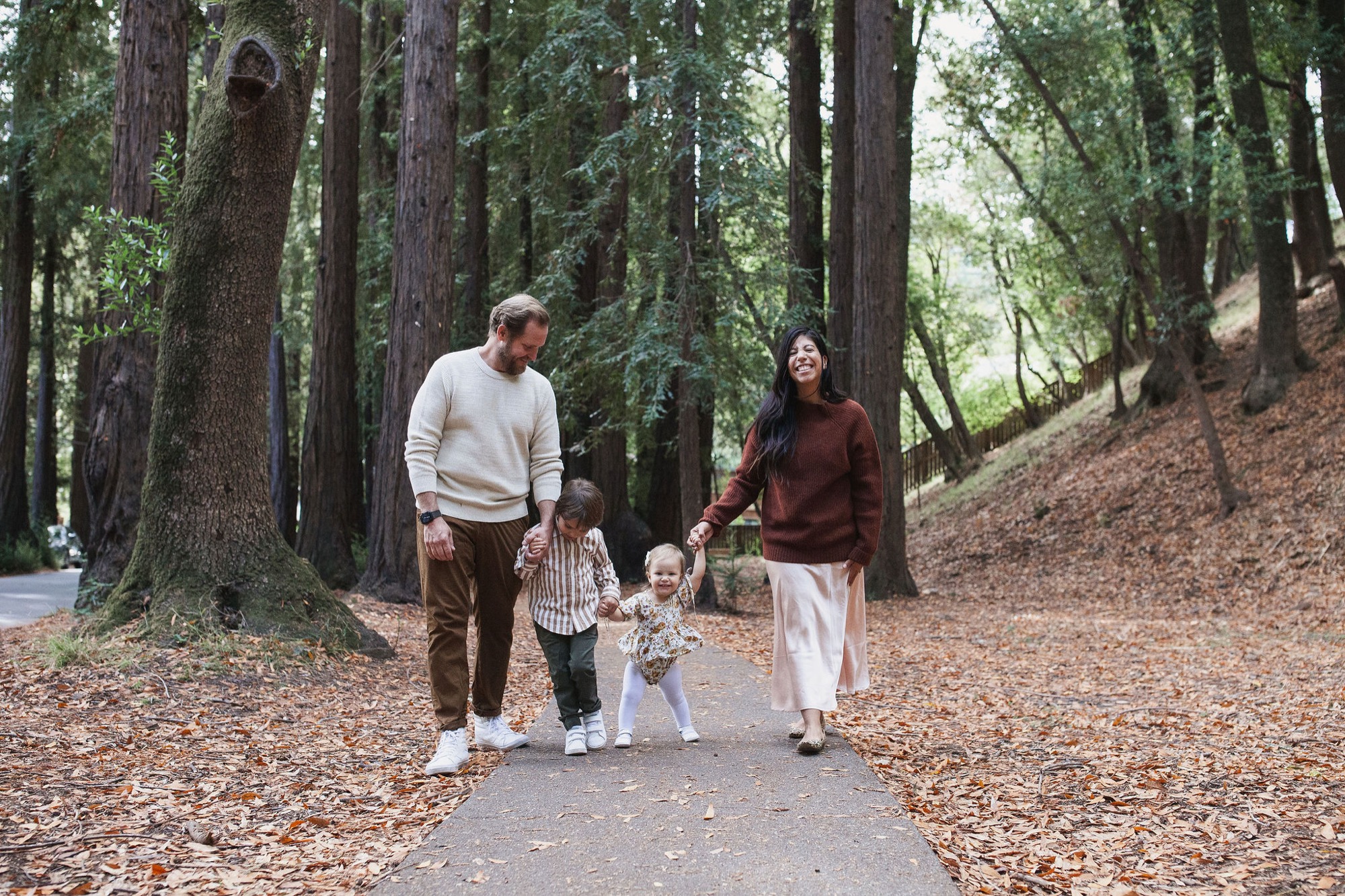 A family of four walks hand-in-hand down a shaded forest path lined with towering redwoods, their footsteps muffled by fallen leaves