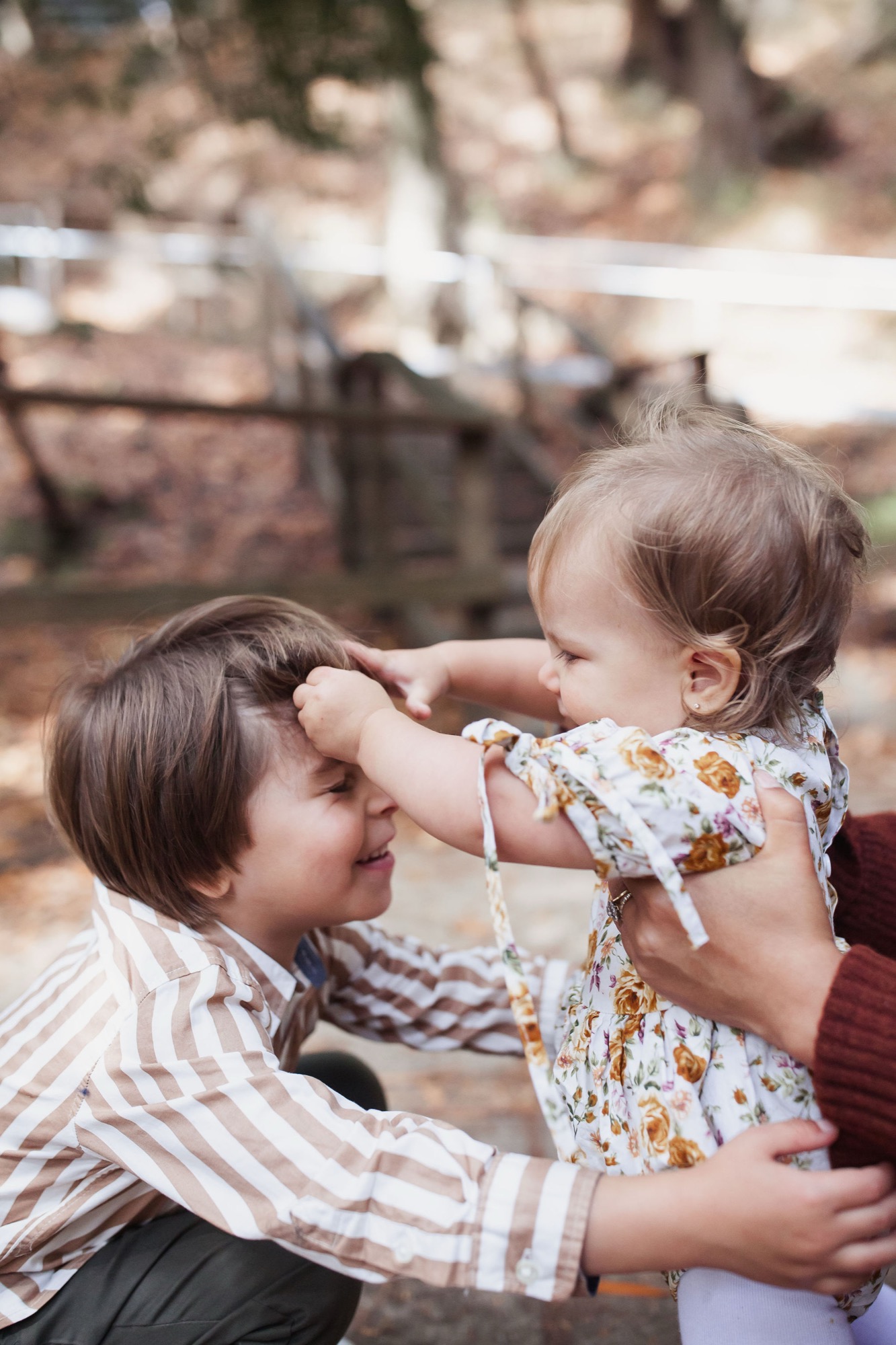 A young boy in a striped shirt lifts a toddler in a floral dress, their hands meeting playfully as warm sunlight filters through blurred foliage behind them