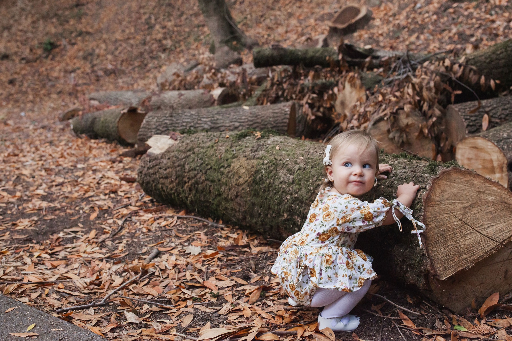 A toddler in a floral dress sits contentedly among moss-covered logs and wood chips, gazing to the side with curiosity