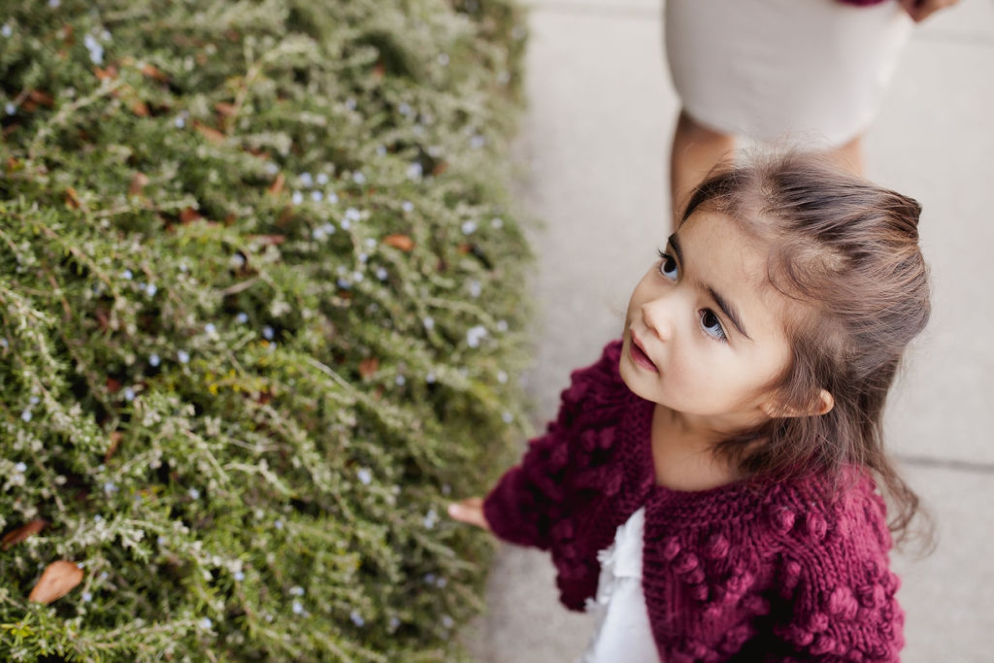 A young girl in a burgundy sweater gazes upward at ivy-covered wall, her expression curious and contemplative in natural light