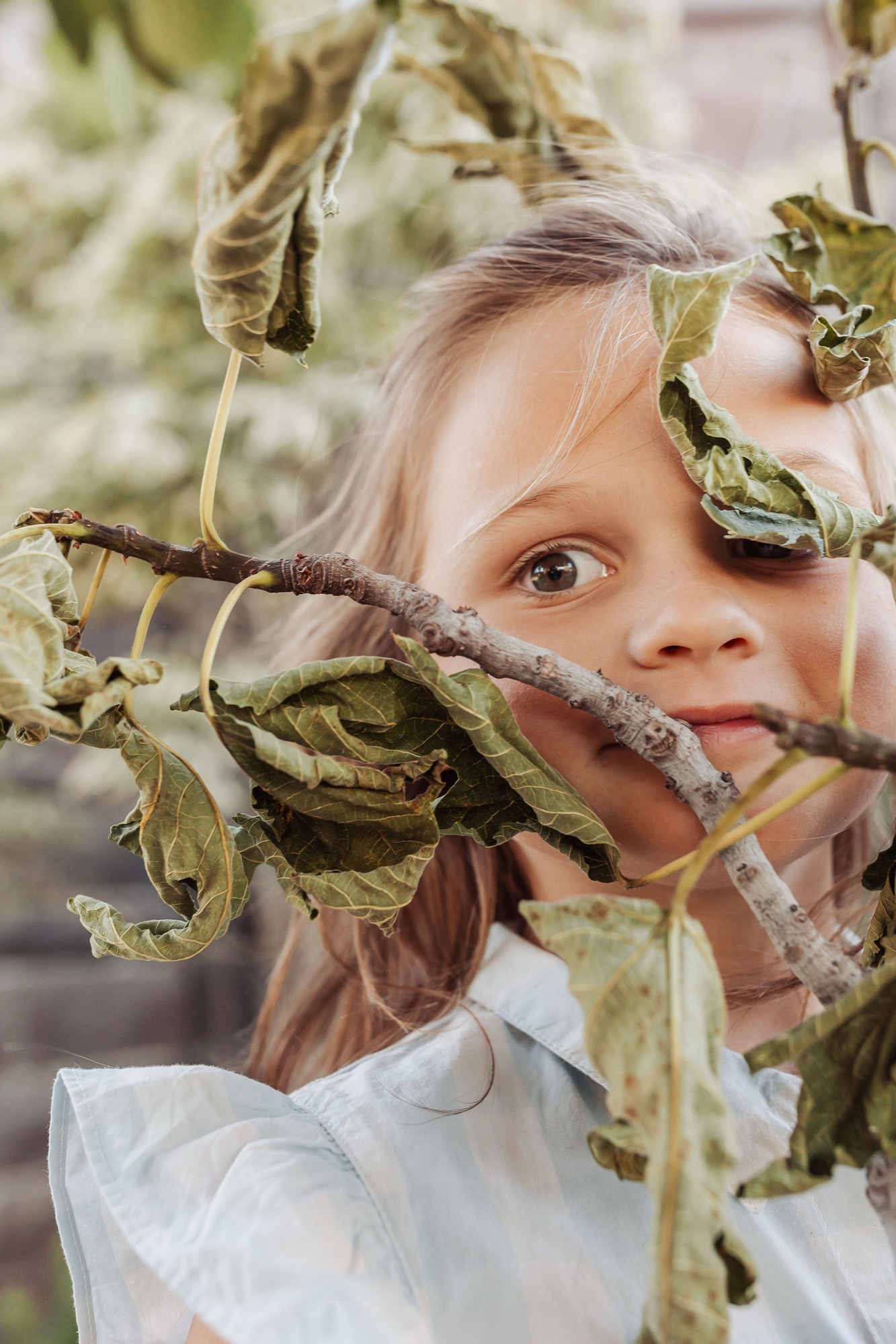 A child's curious face peers through dried, curled leaves and branches, one wide eye visible amid the natural frame