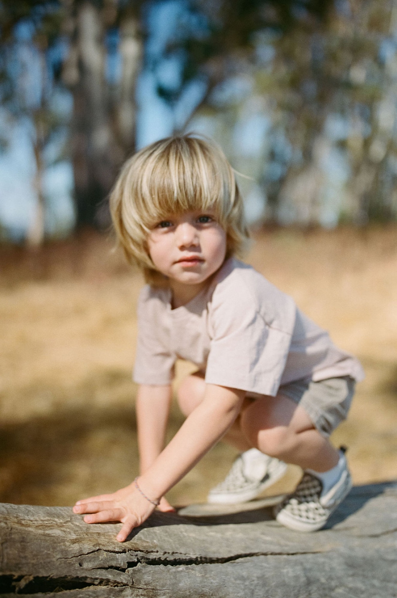 A blonde toddler in a cream shirt crouches on weathered wood, gazing sideways with a serious expression beneath dappled birch tree shadows