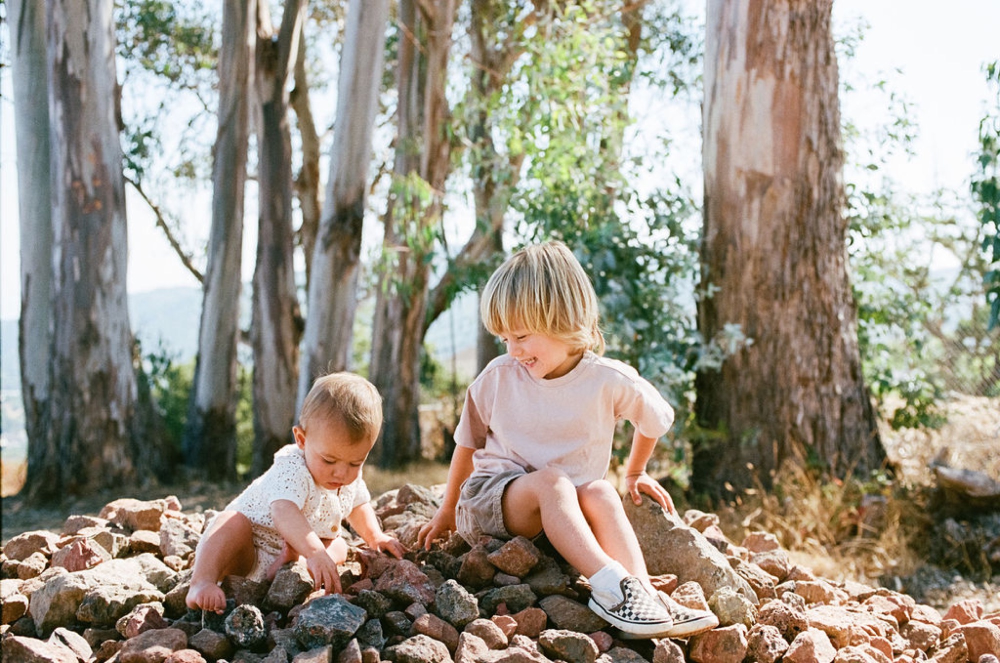 Two young siblings play together on rocky ground beneath towering eucalyptus trees, their blonde hair catching warm sunlight as they explore the natural landscape