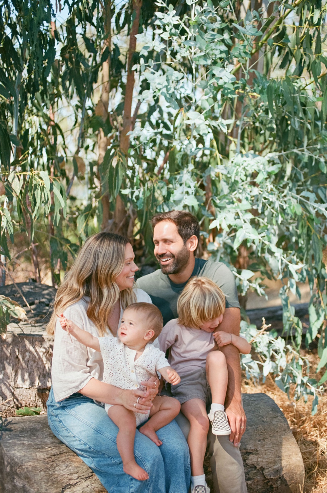 A family of four sits together among hanging willow branches, with parents beaming while toddlers gaze upward in soft afternoon light