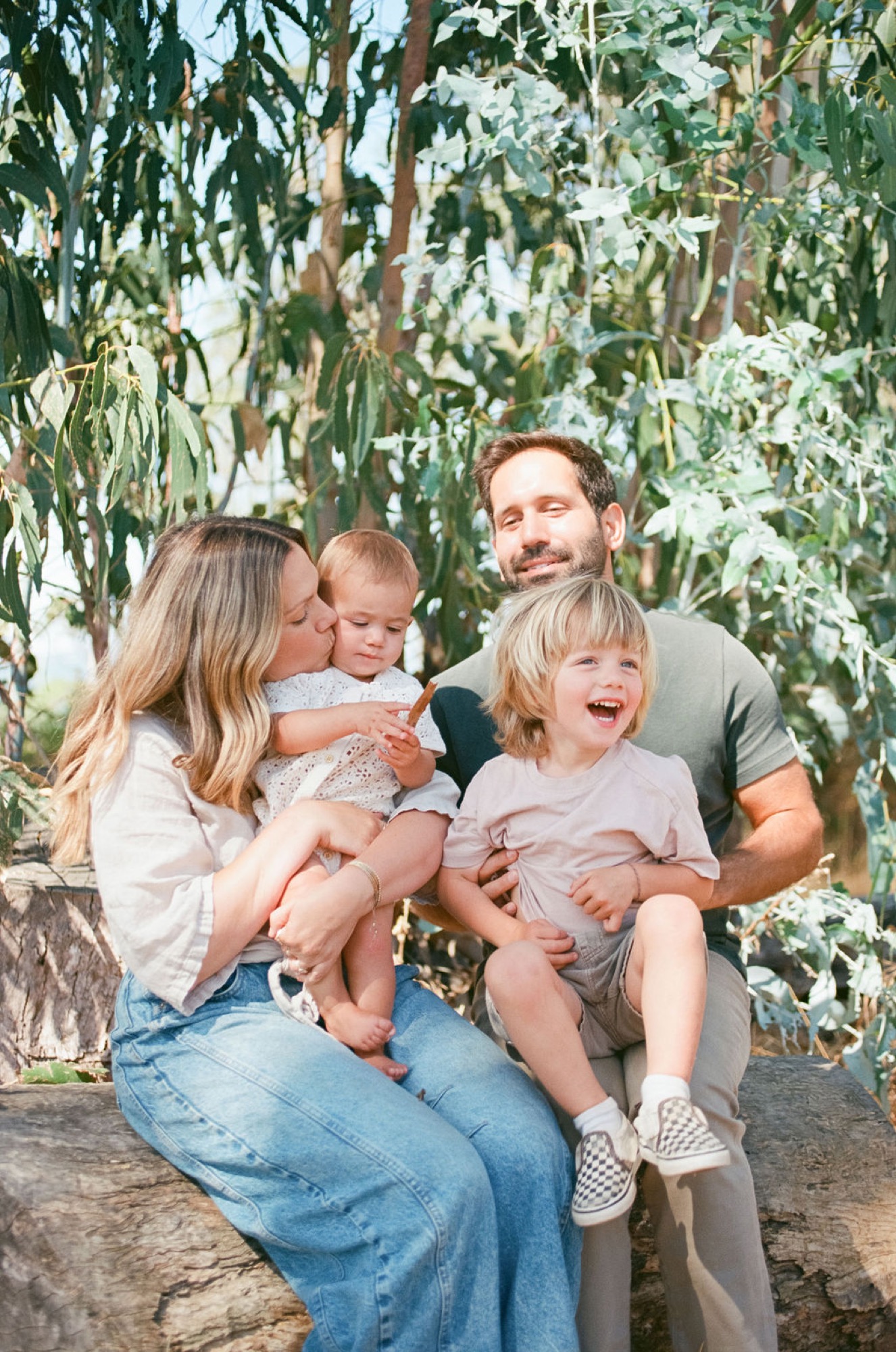 A family of four shares genuine laughter beneath towering eucalyptus trees in Marin County, lifestyle family photography