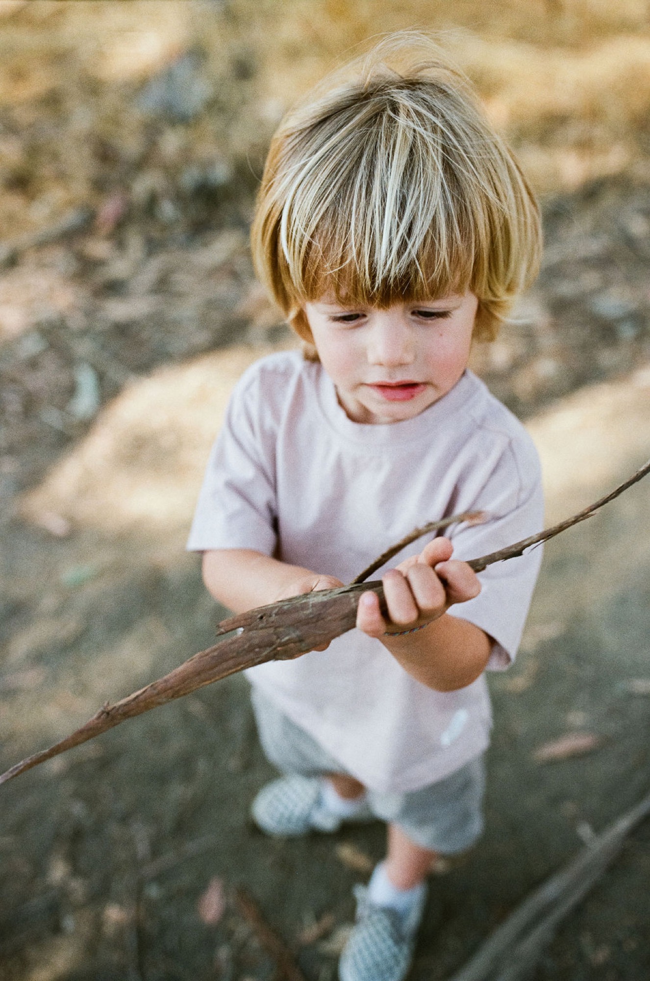 A blonde toddler in a lavender shirt examines a weathered stick with focused concentration, standing on sandy ground in warm afternoon light