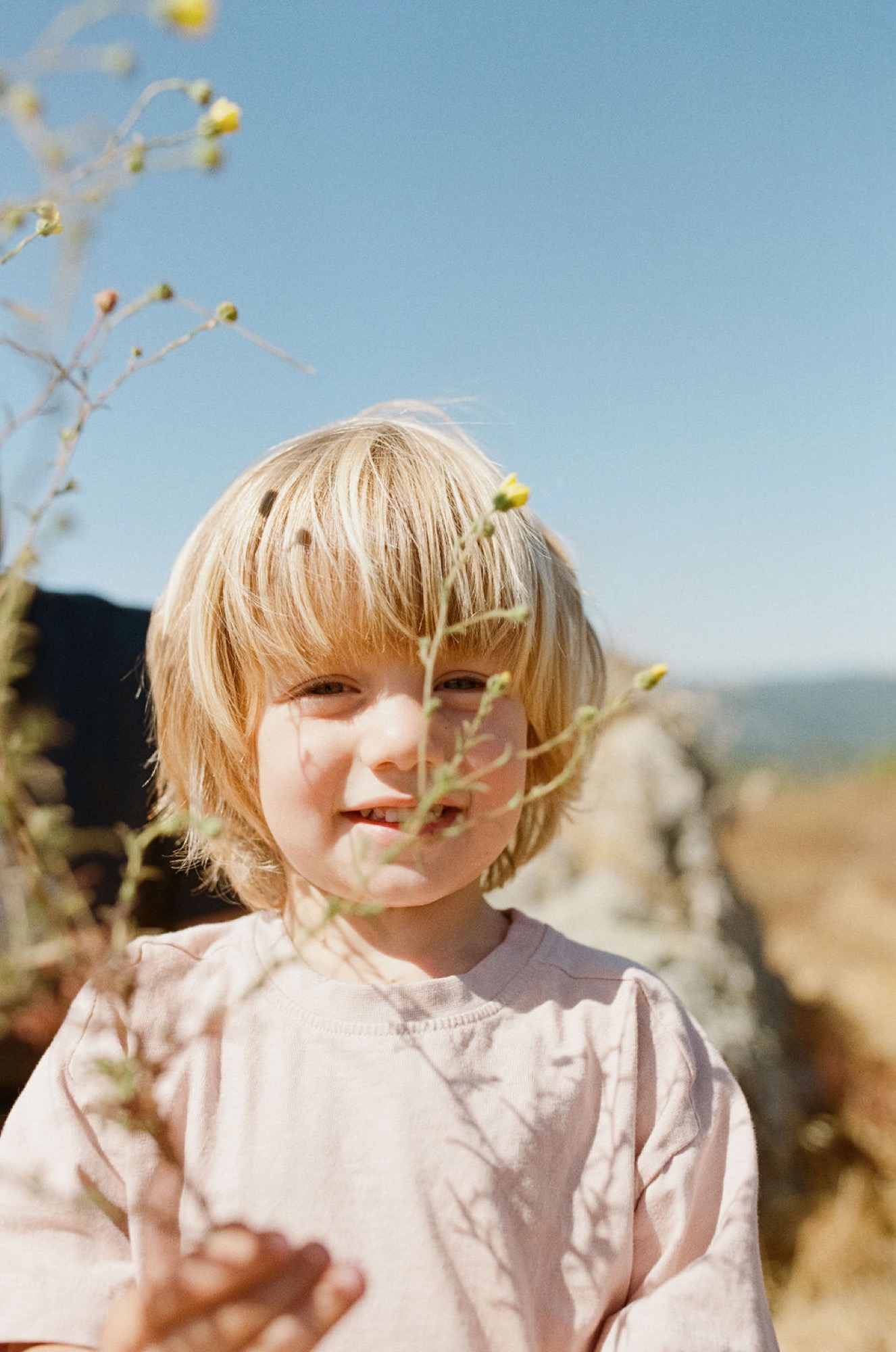 A blonde-haired child in a pale pink shirt smiles softly amid delicate yellow wildflower buds under clear blue sky