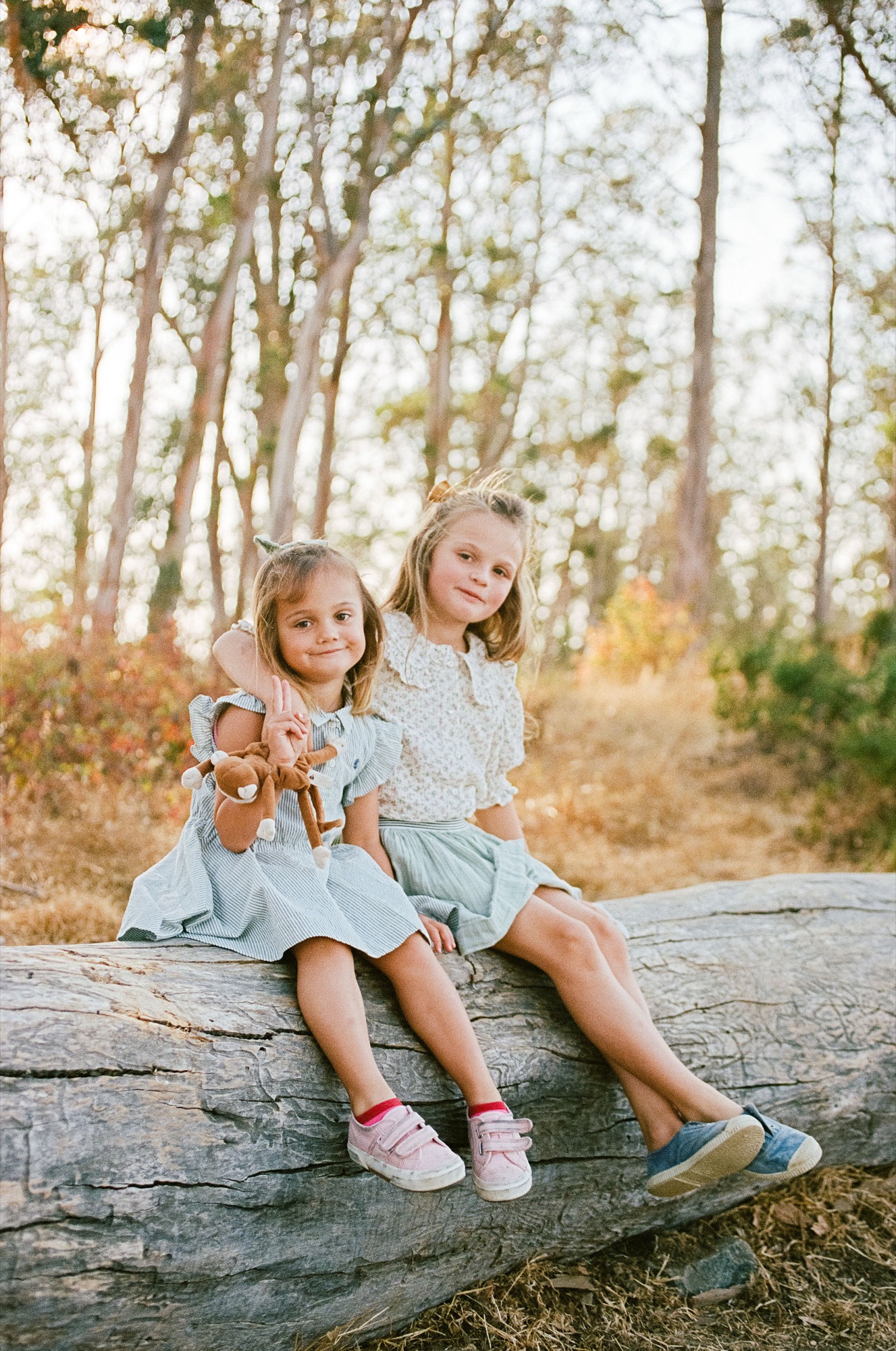 Two young sisters sit together on a weathered log, wearing matching blue dresses, their legs dangling as golden autumn light filters through the trees behind them