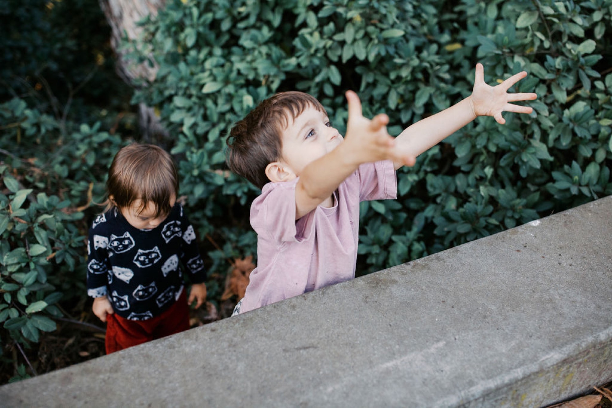 Two toddlers peer over a concrete ledge with ivy-covered wall behind, one child reaching upward with arms stretched wide in joyful discovery