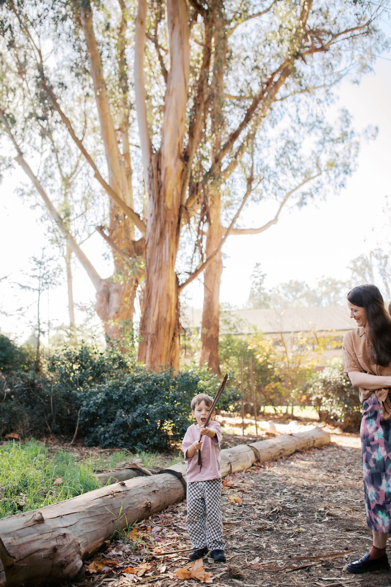 A woman in patterned pants watches a toddler in a pink dress balance on a fallen log beneath a towering eucalyptus tree