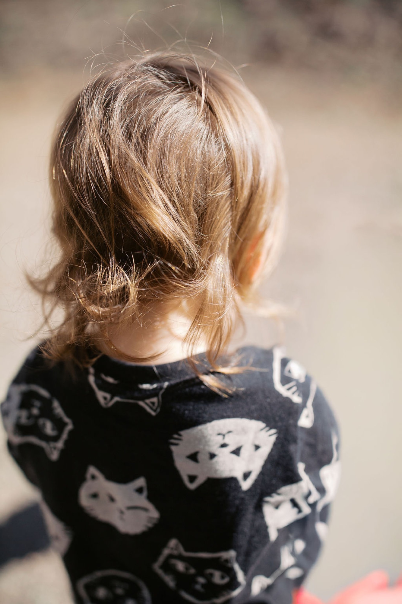 Toddler in cat-print shirt viewed from behind, blonde hair catching warm sunlight at a park