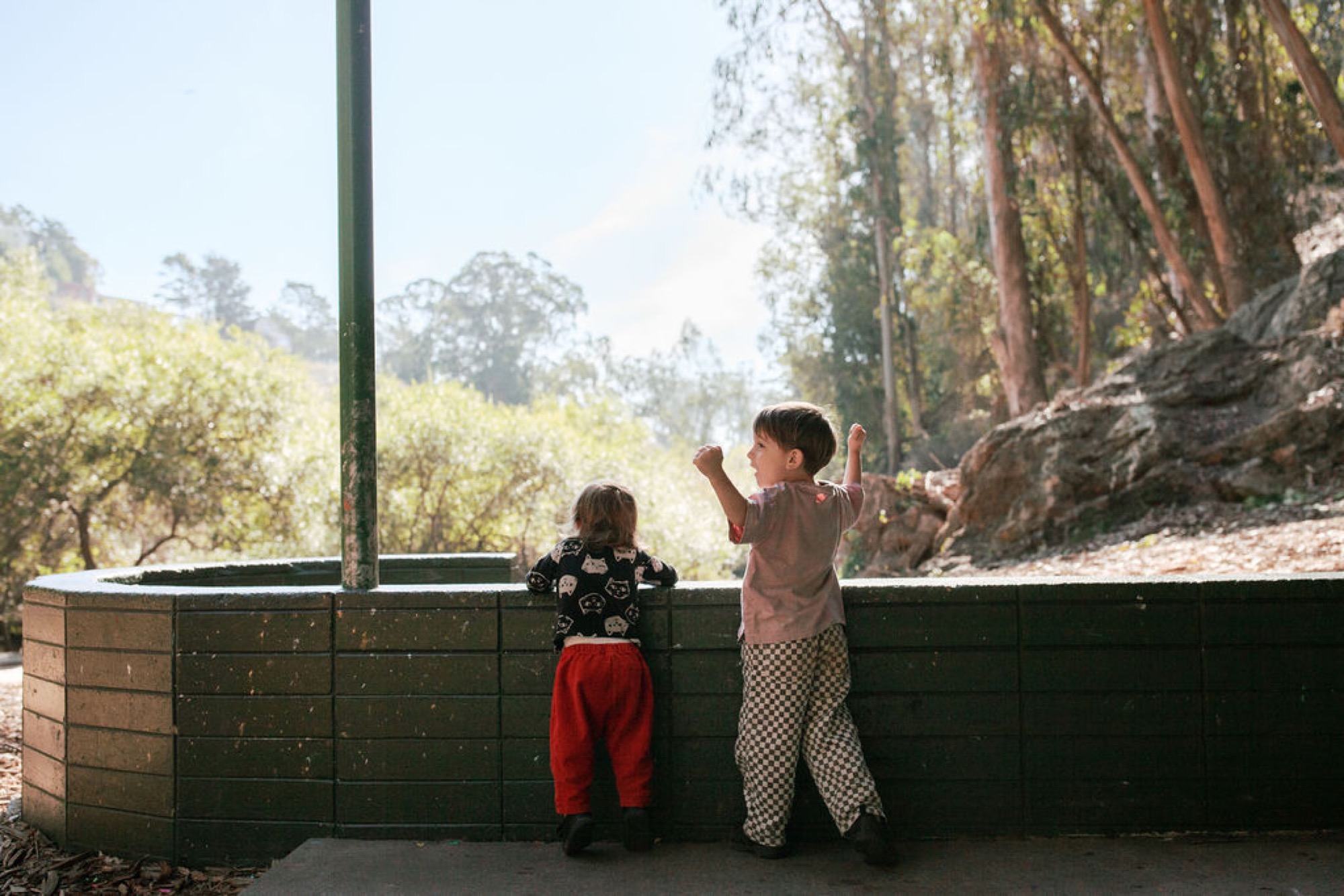 Two children stand at a wooden railing overlooking a eucalyptus-lined valley, one in red pants reaching upward while the other watches, dappled sunlight filtering through trees