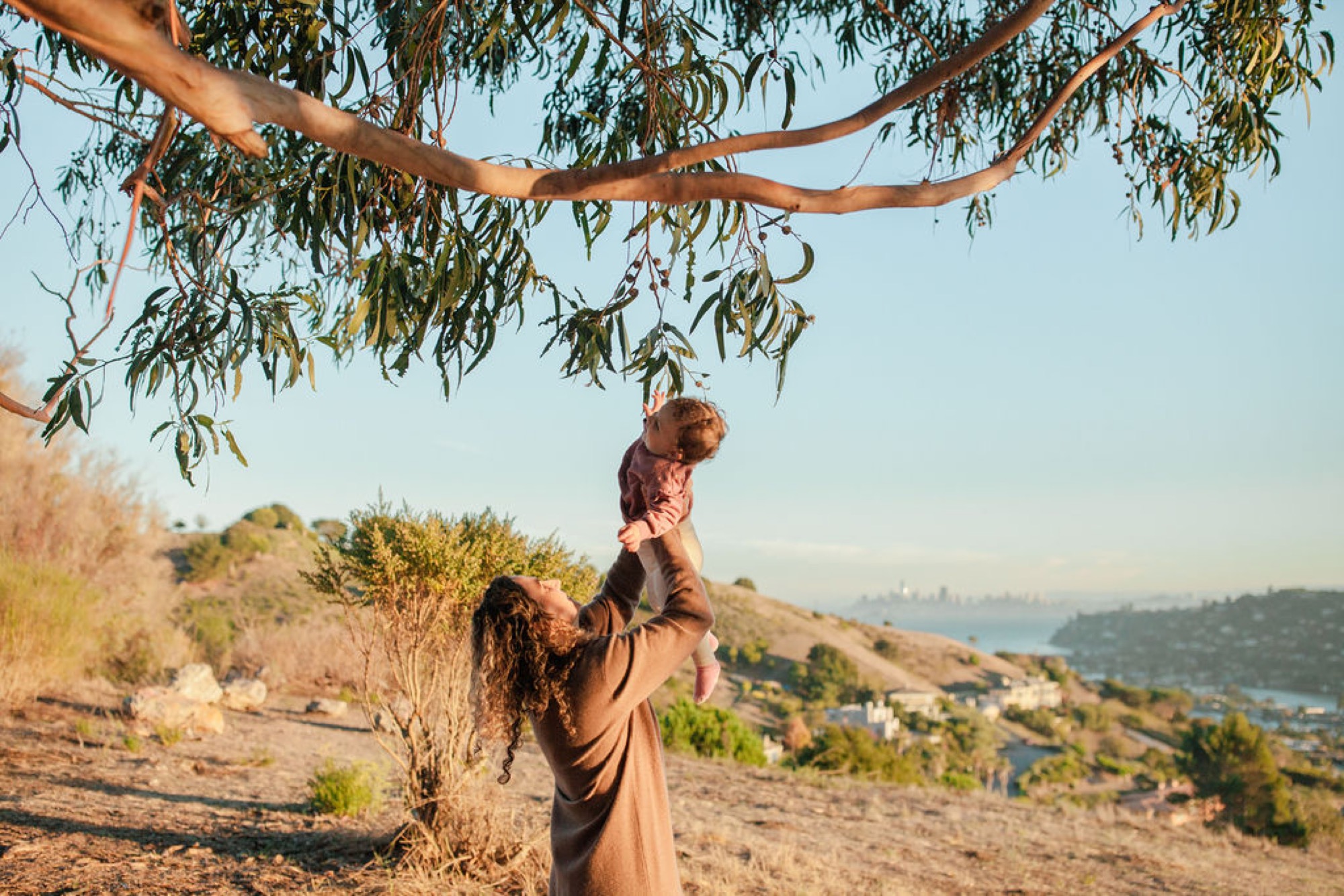 A mother lifts her toddler toward hanging eucalyptus branches, golden afternoon light illuminating their joy against the bay vista