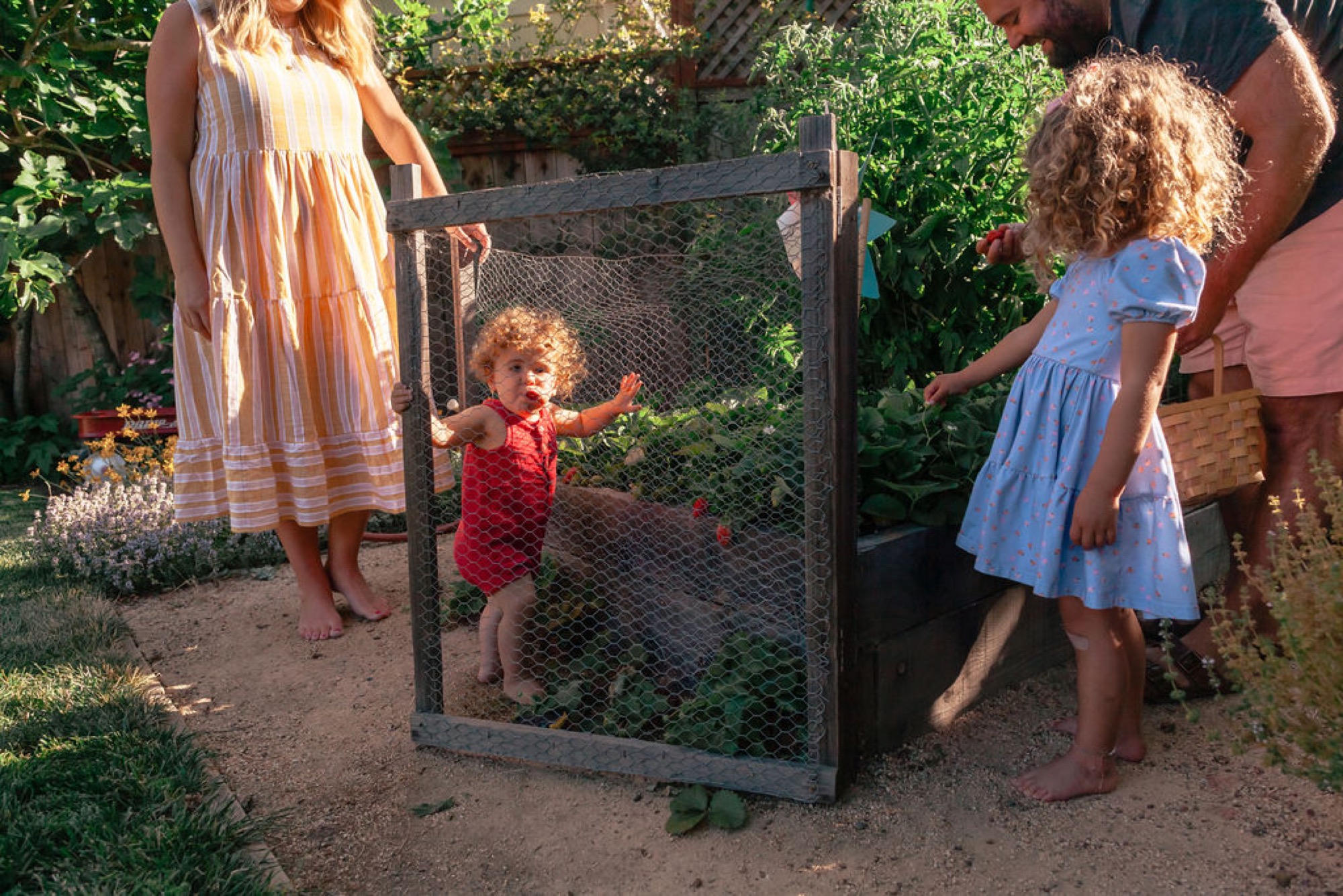 A toddler in a red romper stands at a weathered gate while family members engage playfully in a sun-dappled backyard surrounded by lush green foliage