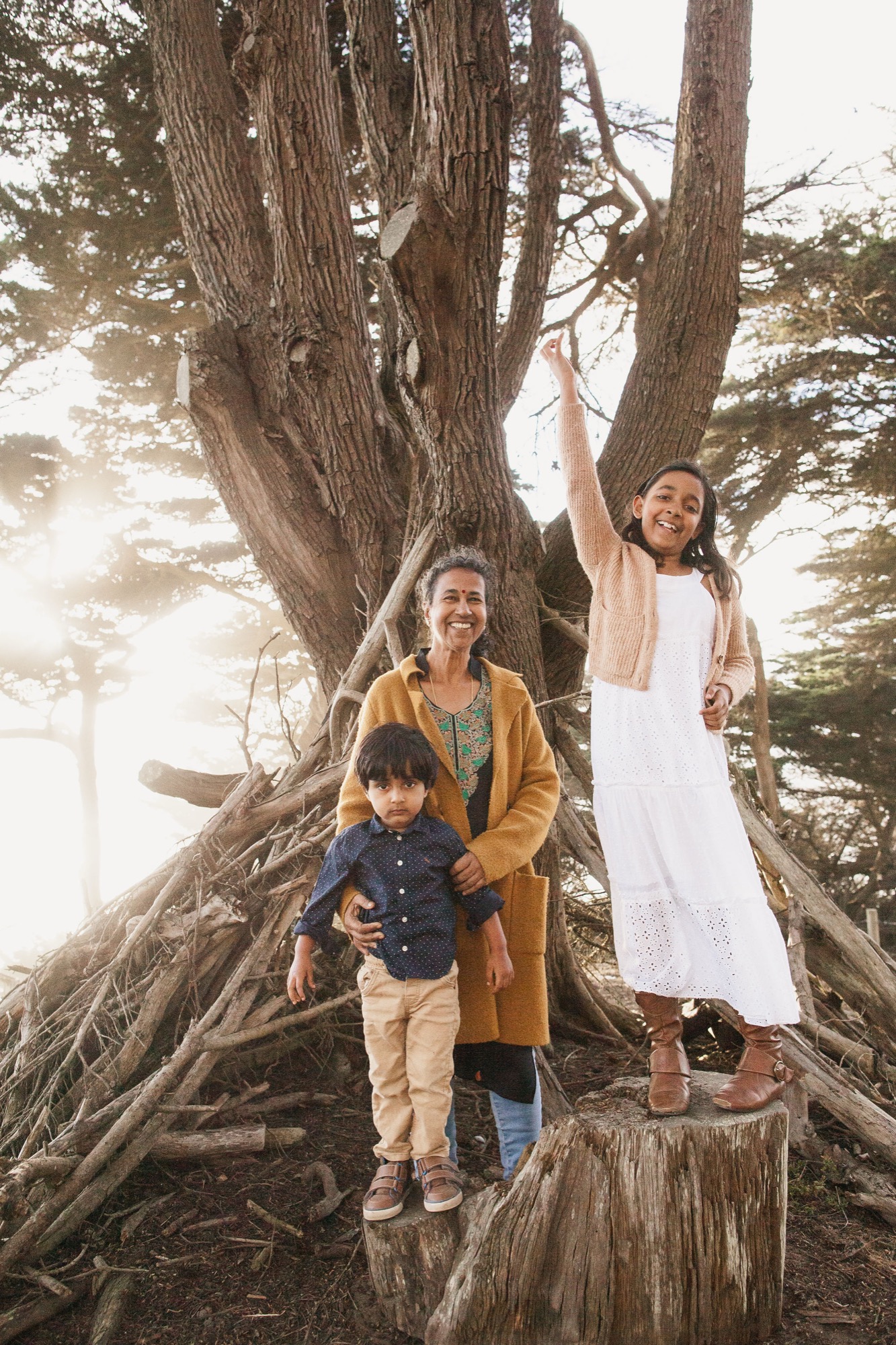 A woman and two children smile broadly while posing inside a massive hollowed tree trunk, backlit by soft golden sunlight filtering through the forest canopy
