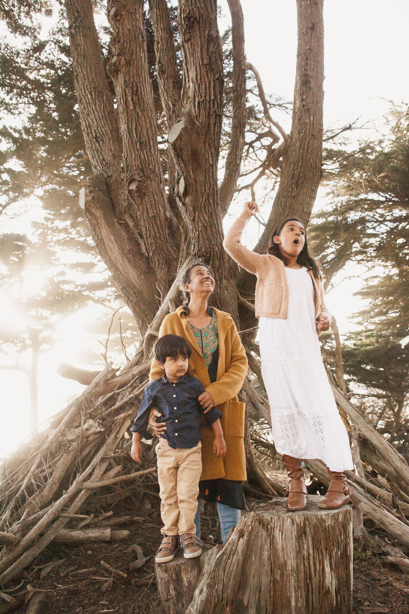 Three children stand together on a weathered tree stump beneath a massive split-trunk cypress, gazing upward with wonder as golden backlight filters through the coastal fog