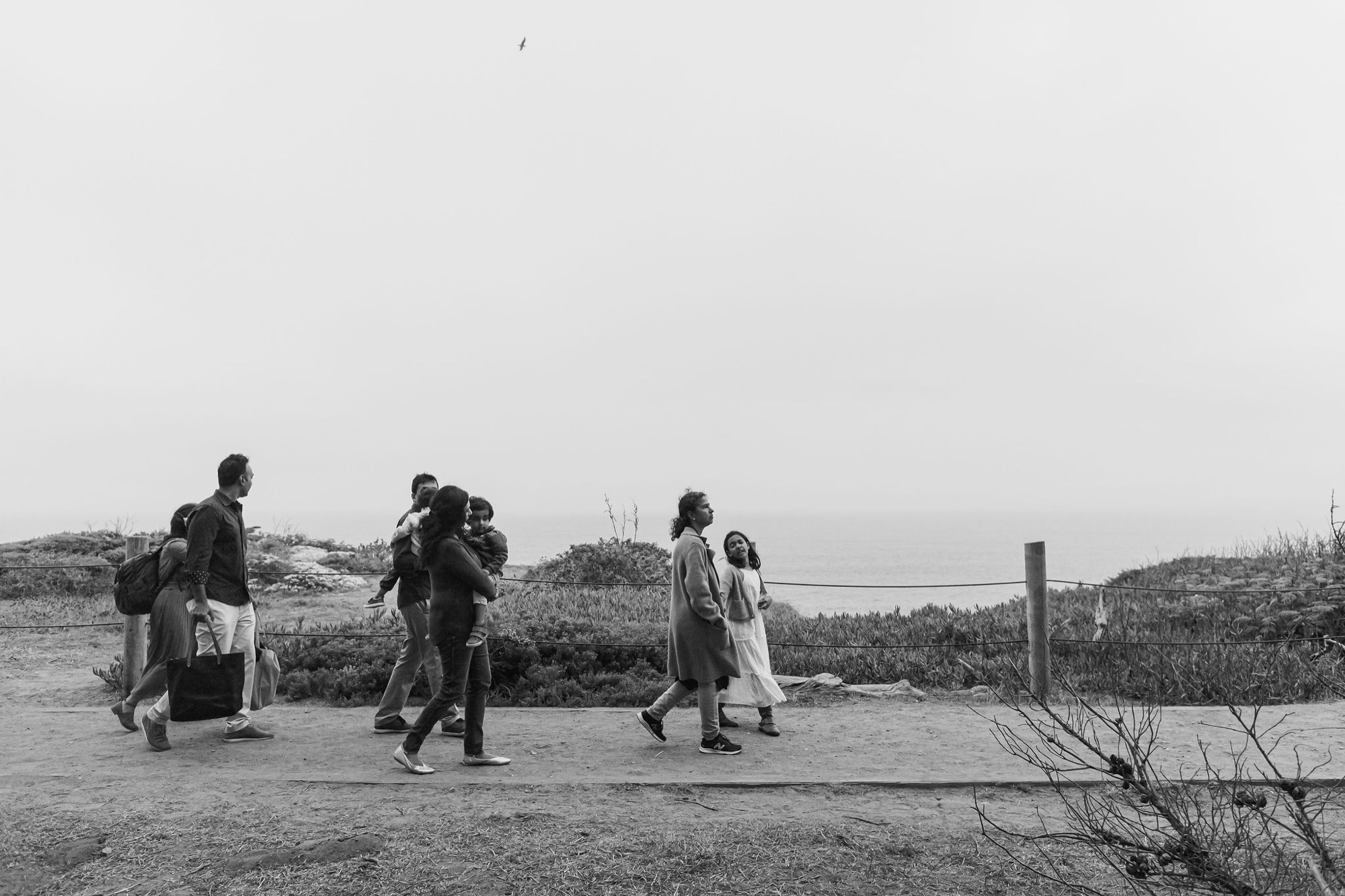 A family group walks across sandy terrain with windswept vegetation, their figures small against the vast overcast coastal landscape
