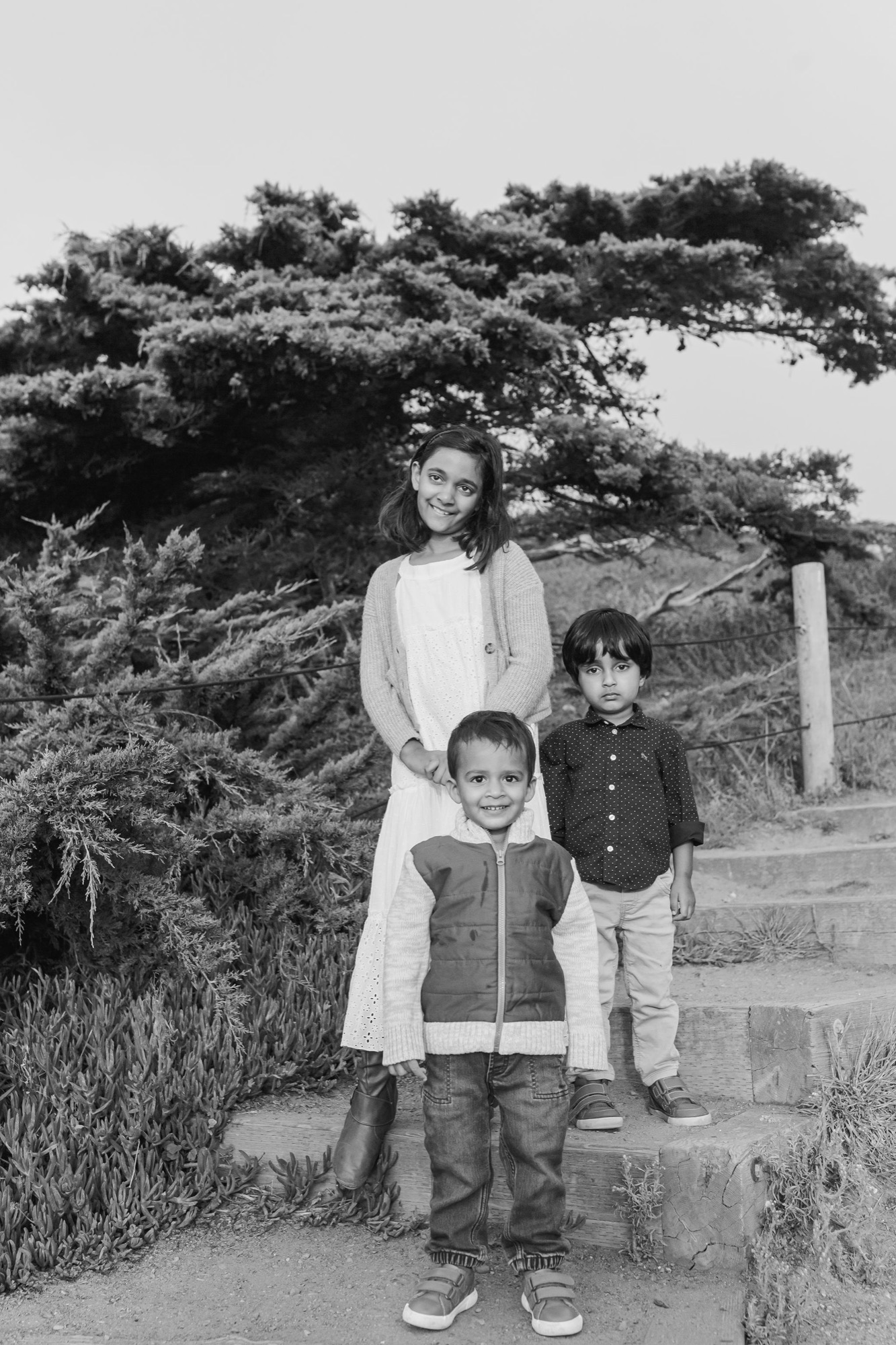 Three children stand on a coastal path with a gnarled Monterey cypress rising behind them, the oldest girl smiling warmly while her younger siblings gaze thoughtfully toward the camera