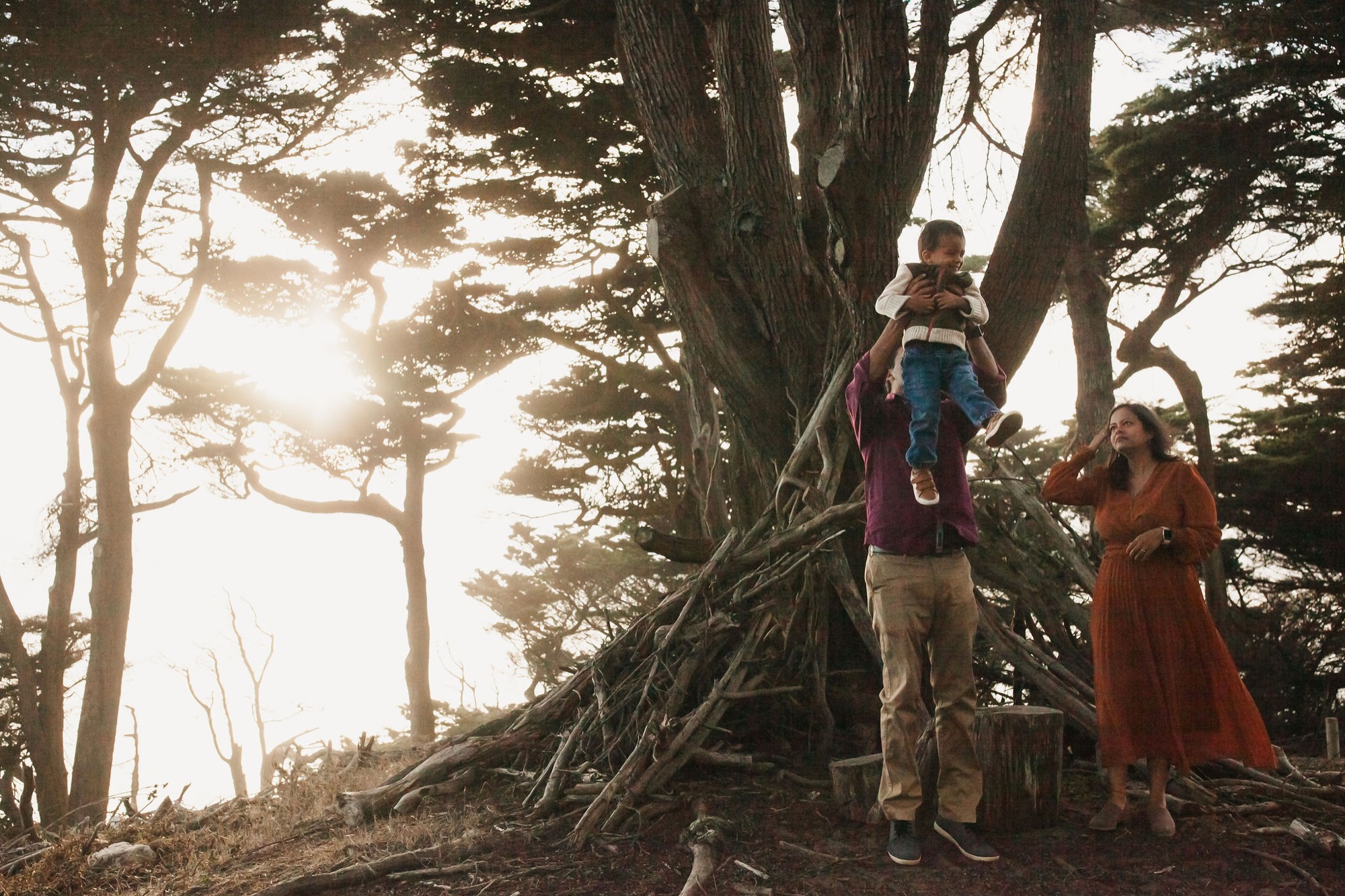 A father lifts his young son onto a massive cypress branch while his mother watches, golden sunlight filtering through ancient trees