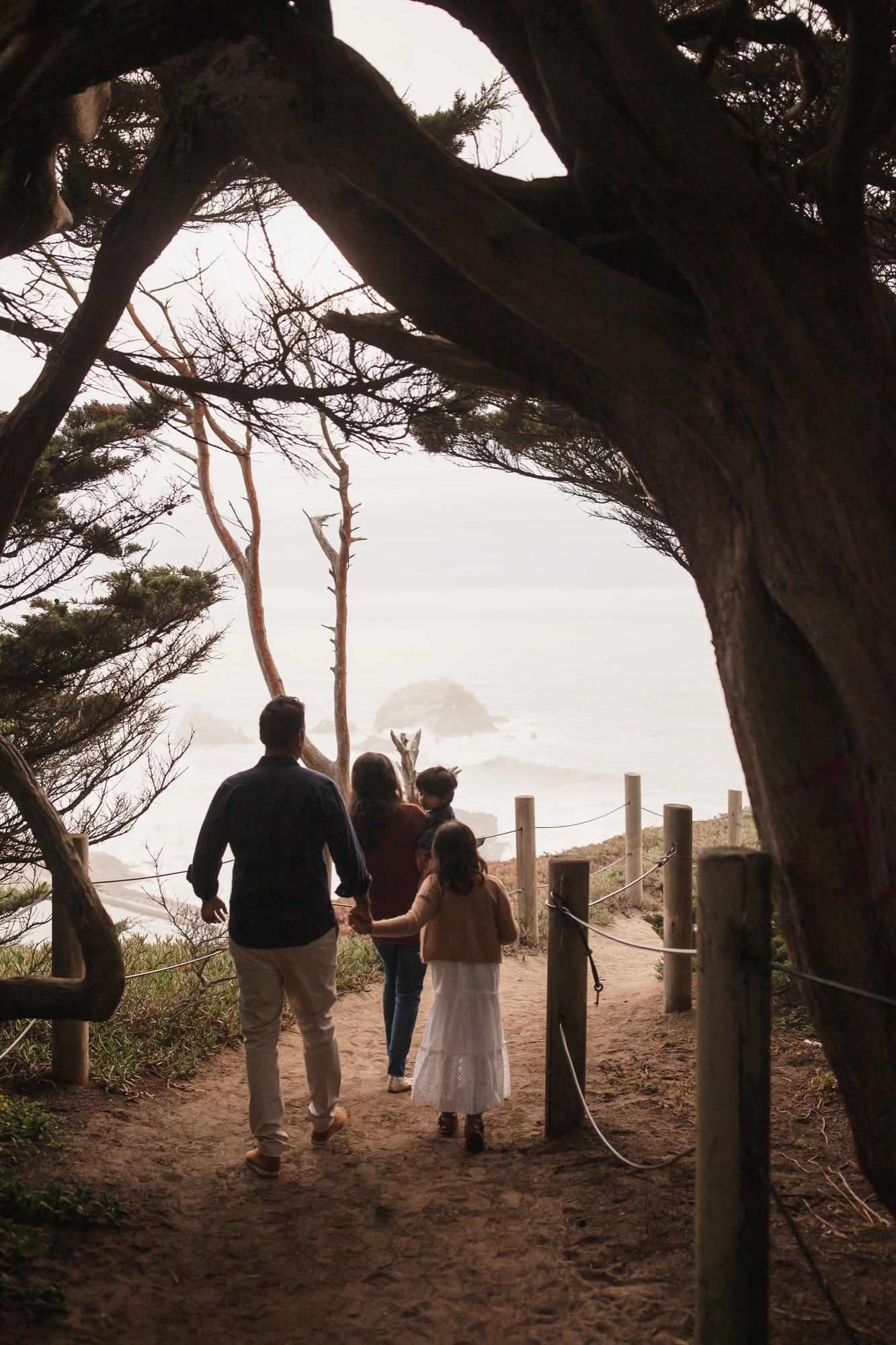 Family of four walks hand-in-hand beneath gnarled tree branches toward misty coastal cliffs and offshore rock formations