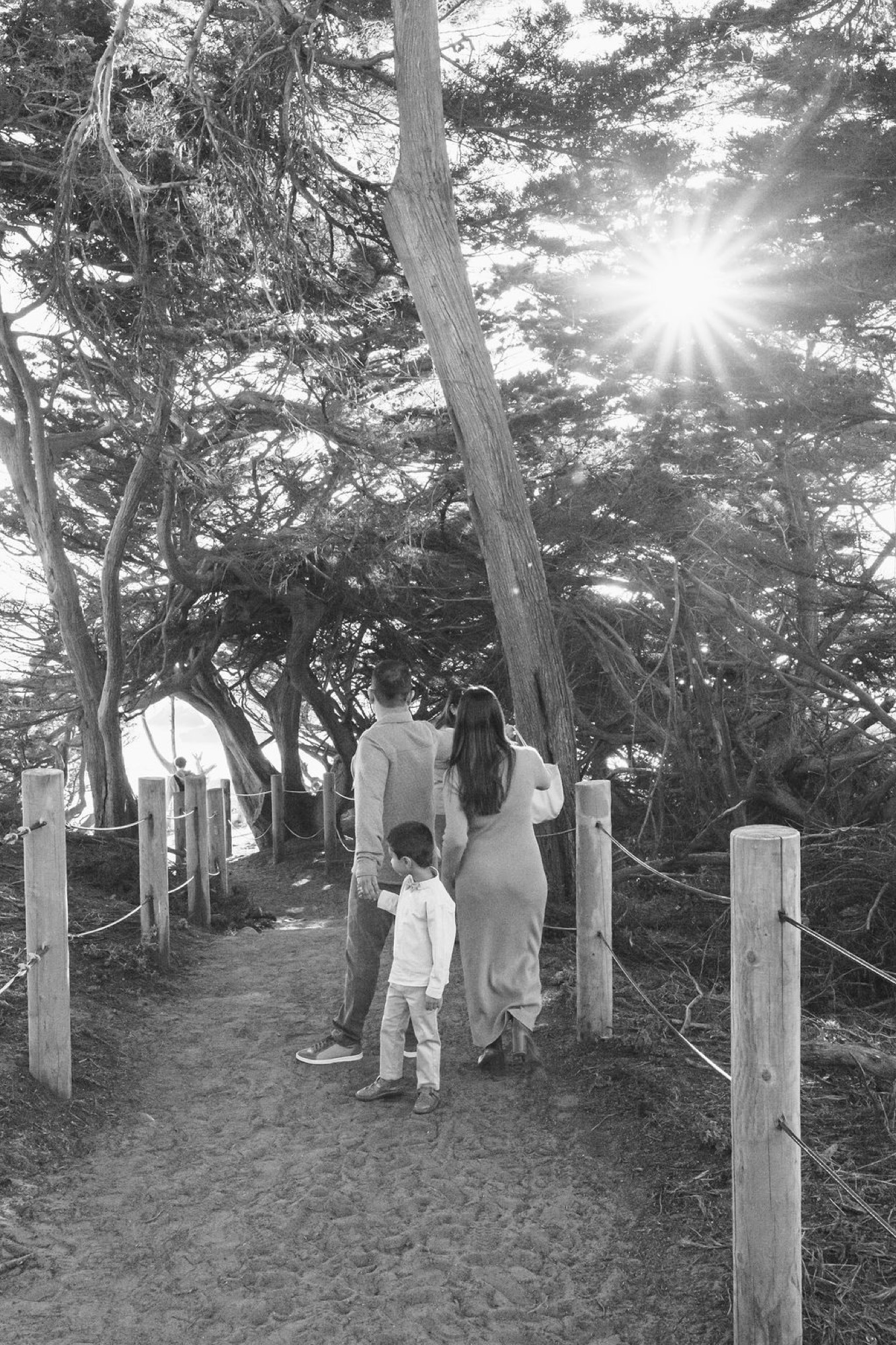 A woman and young child walk hand-in-hand down a sandy trail beneath towering cypress trees, sunlight streaming through the canopy