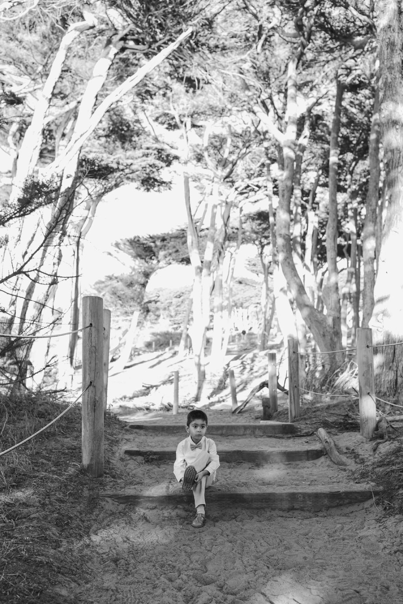 A young boy sits alone on sandy steps beneath towering eucalyptus trees, gazing directly at the camera with a composed, thoughtful expression