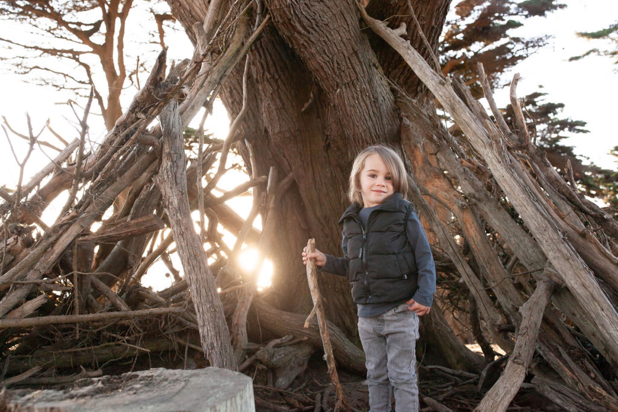 Young girl stands thoughtfully beside a gnarled, wind-sculpted cypress tree with golden sunlight filtering through its twisted branches