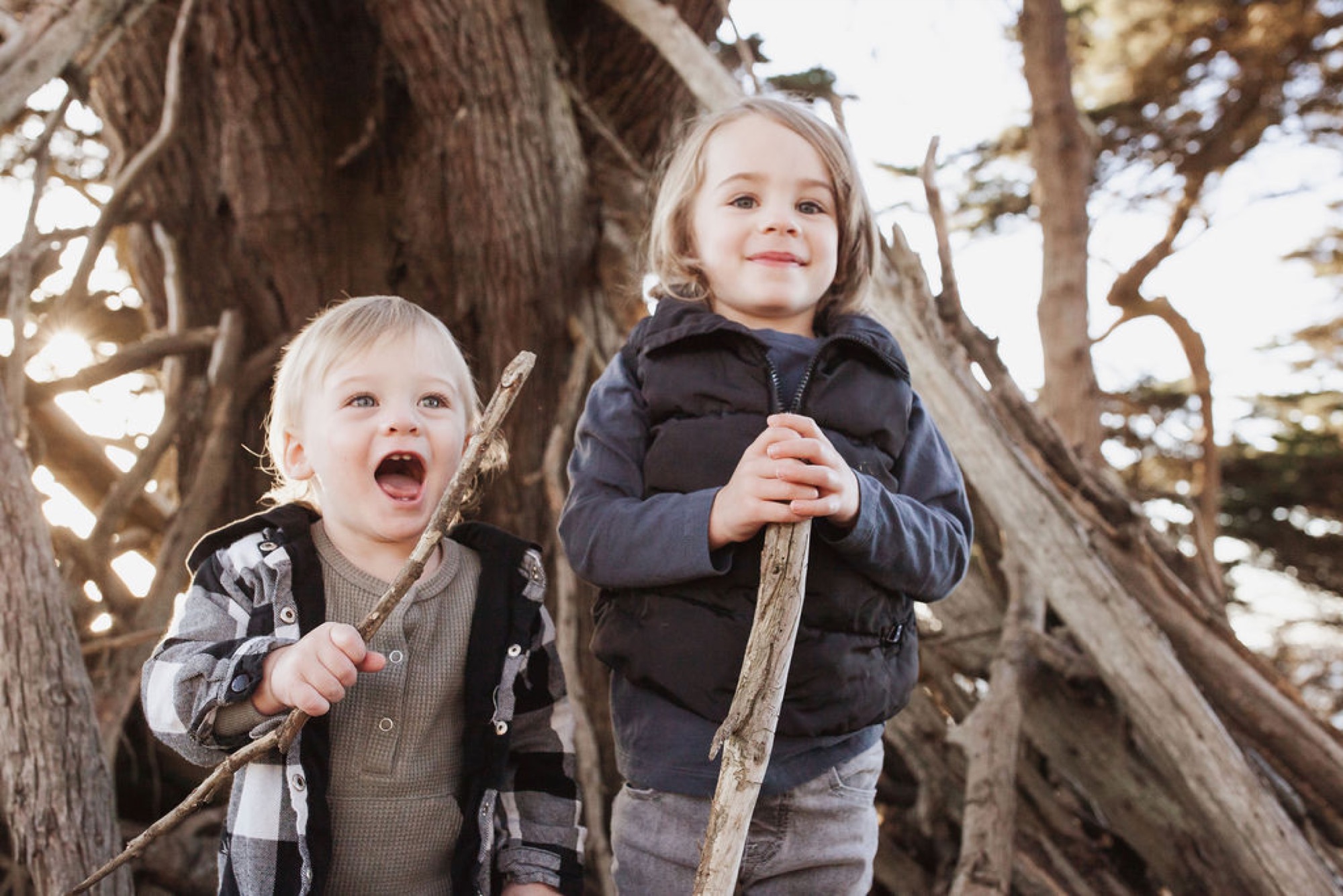 Two young children grip a weathered branch beneath gnarled cypress trees, the older girl smiling confidently while her blonde-haired brother laughs with unbridled joy
