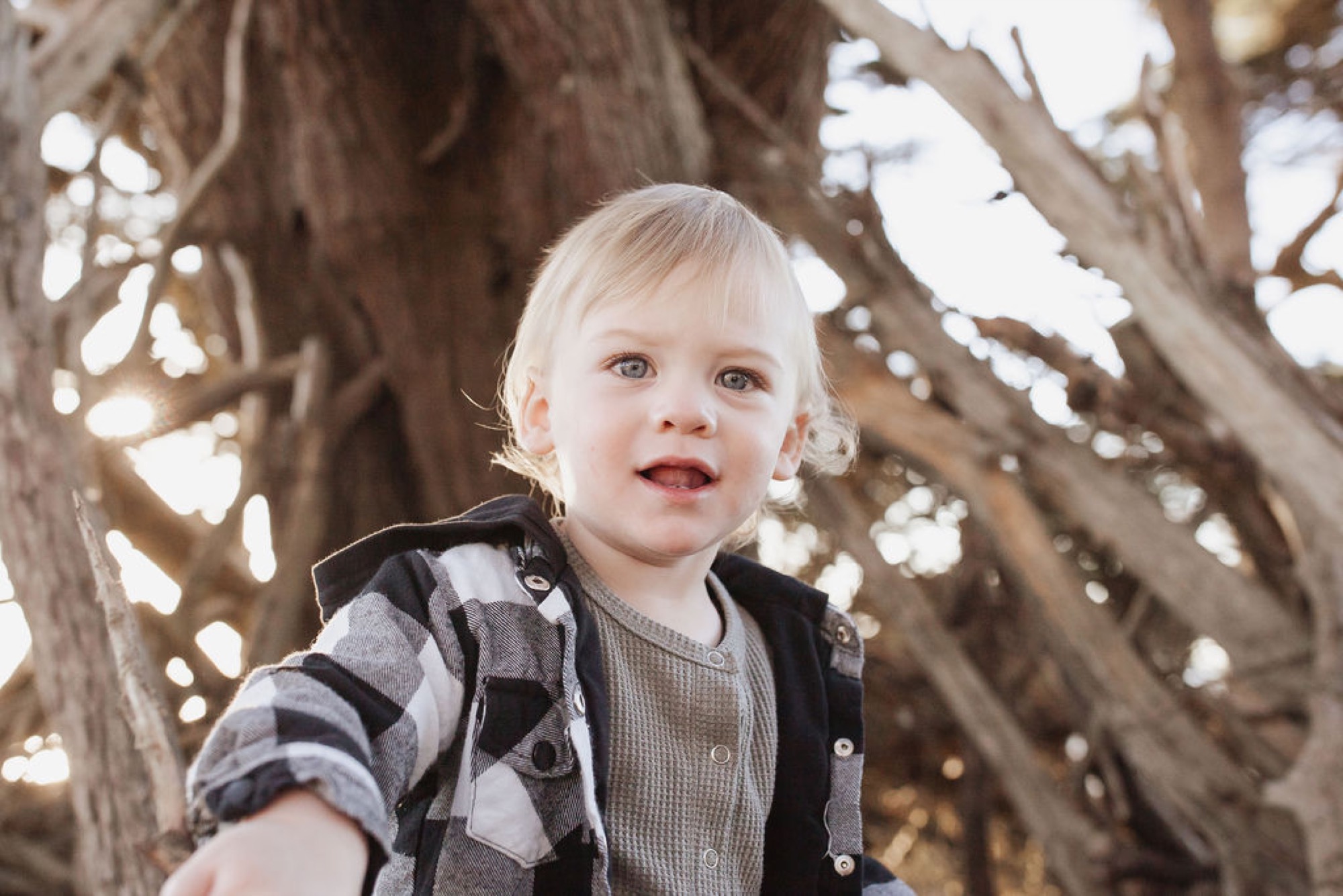 Blonde toddler with rosy cheeks smiles at camera beneath gnarled tree branches in soft natural light