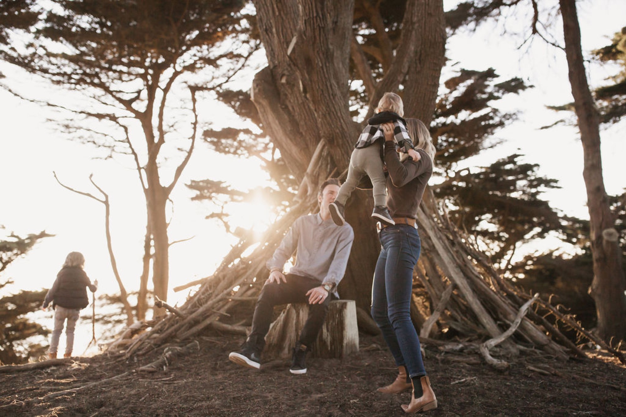 Children climb a massive twisted tree trunk while golden sunlight filters through coastal pines, one child hanging suspended mid-climb
