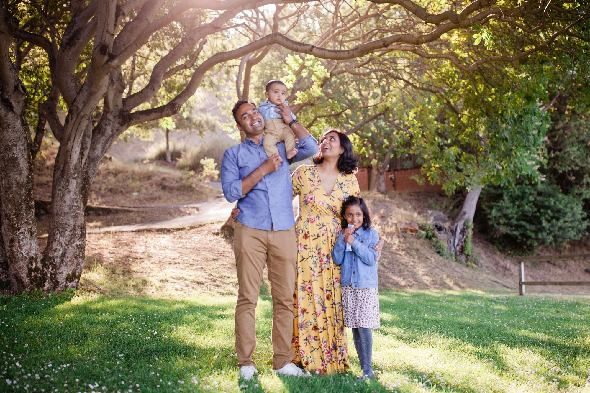 A family of four stands beneath sprawling oak trees, father holding toddler aloft while mother and daughter gaze upward together in warm dappled sunlight