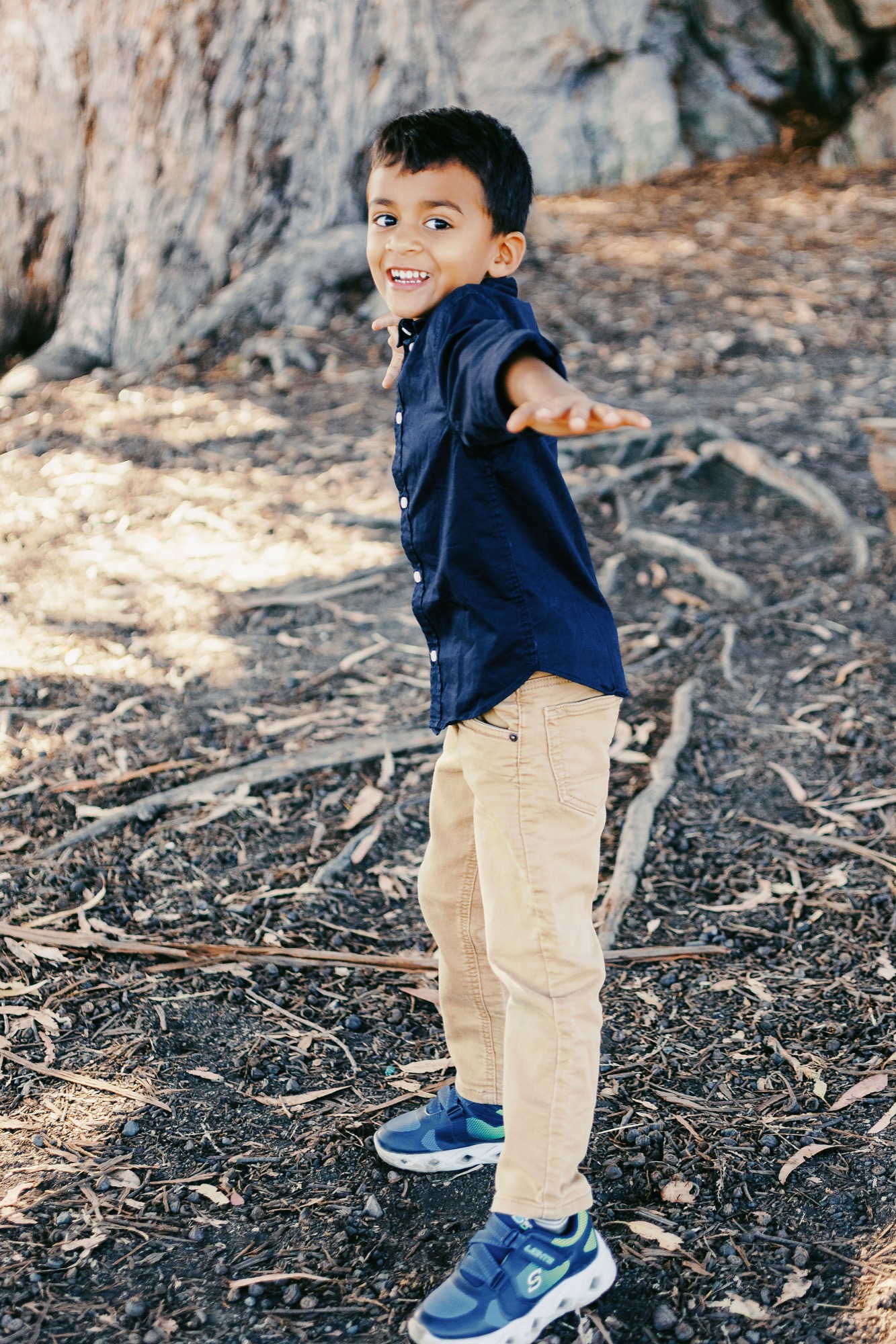 Marin family photographer captures a young boy mid-spin with arms outstretched and a beaming smile beneath a massive tree in Marin County — pure childhood joy in a beautiful outdoor extended family session.
