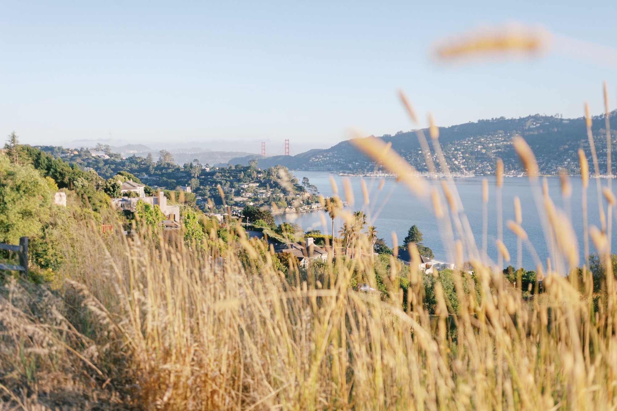 Marin family photographer captures the golden hills and sweeping bay views of Marin County, with the iconic Golden Gate Bridge glowing in the distance — the breathtaking backdrop for an extended family session in one of the Bay Area's most beautiful outdoor settings.