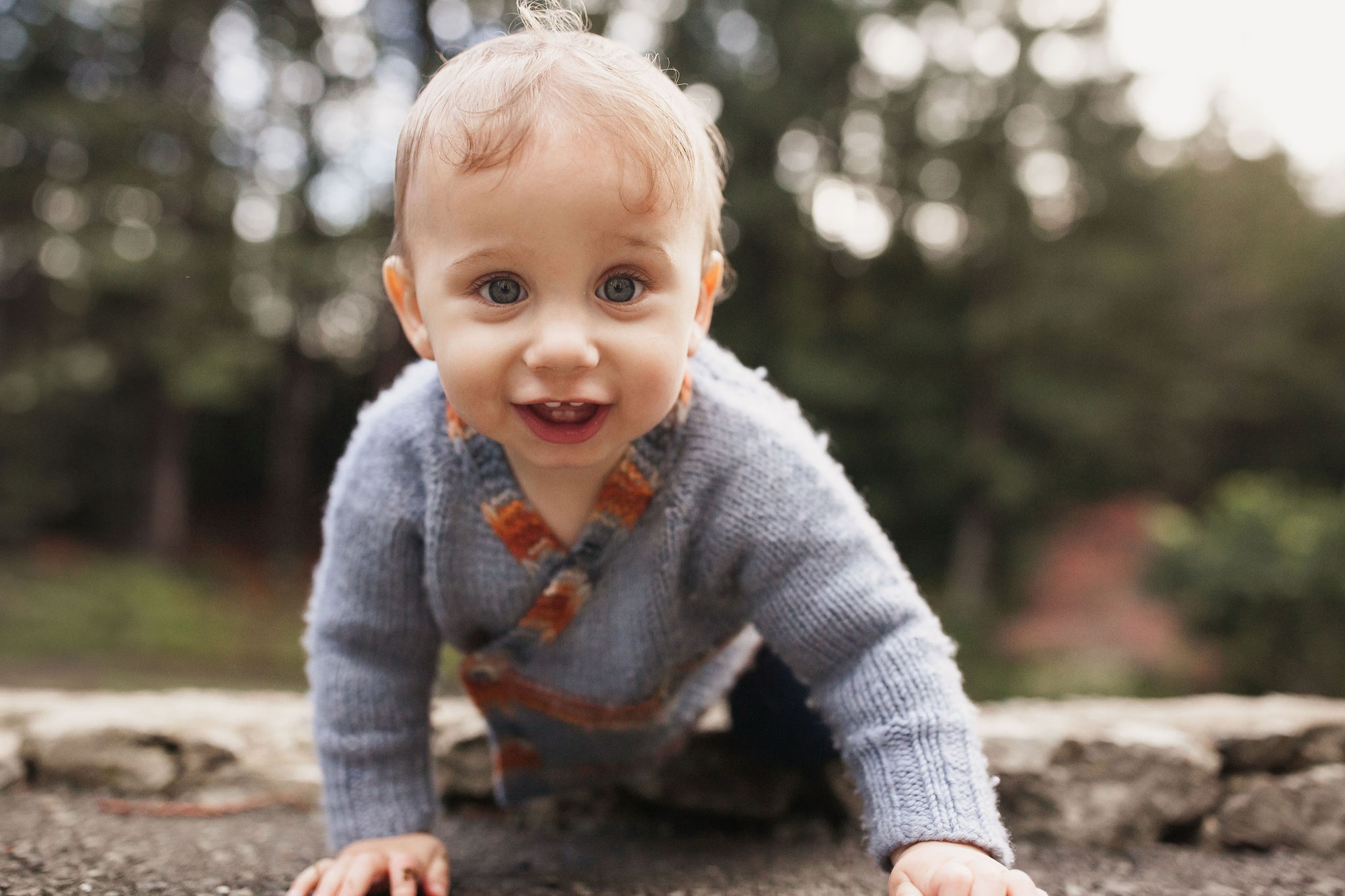 Toddler in gray cardigan crawls toward camera with wide-eyed delight, sunlit trees softly blurred behind on natural ground