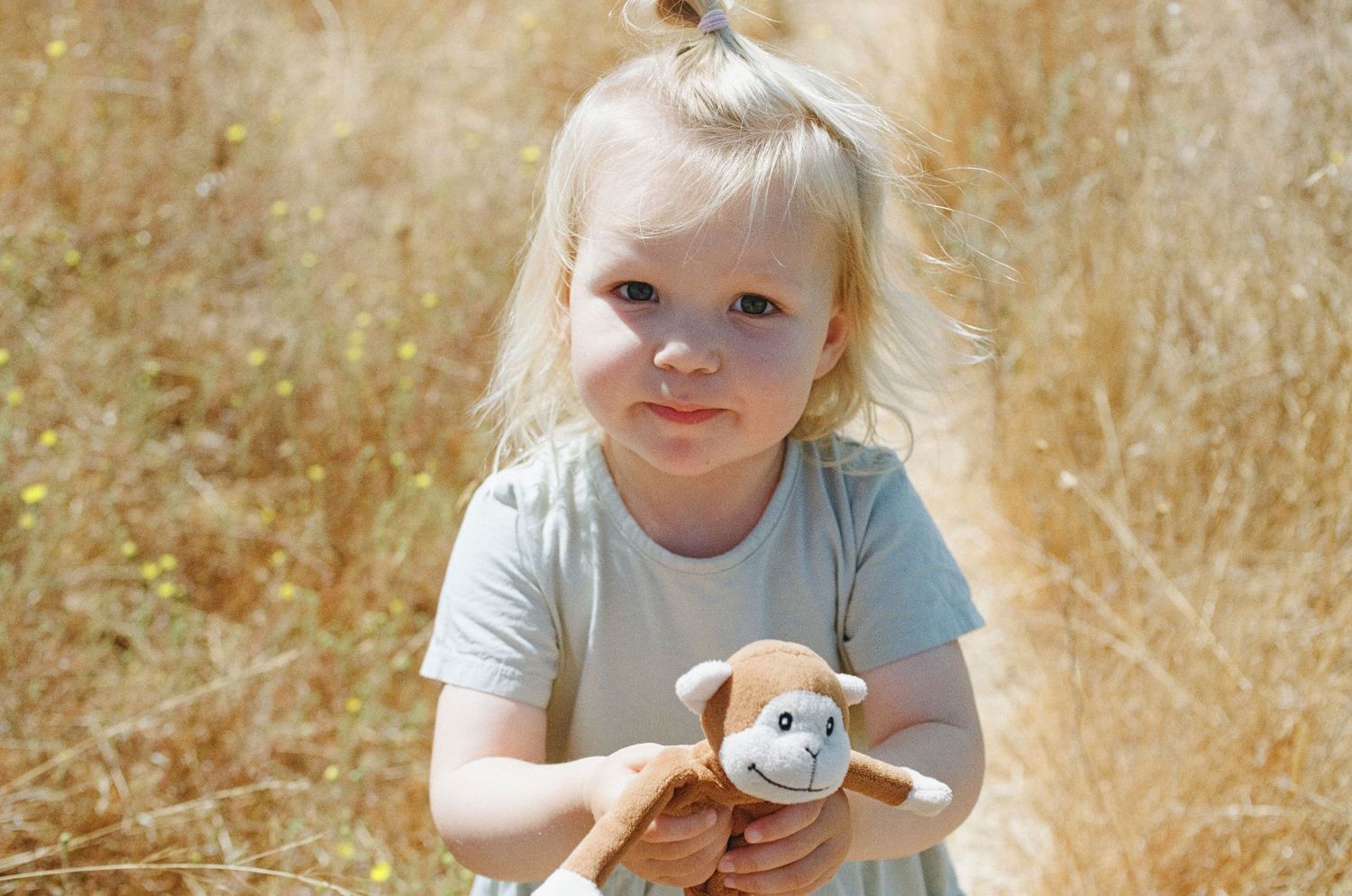 Photo from Discover the Perfect Family Photo Spot: Hidden Gem in San Rafael's Hills