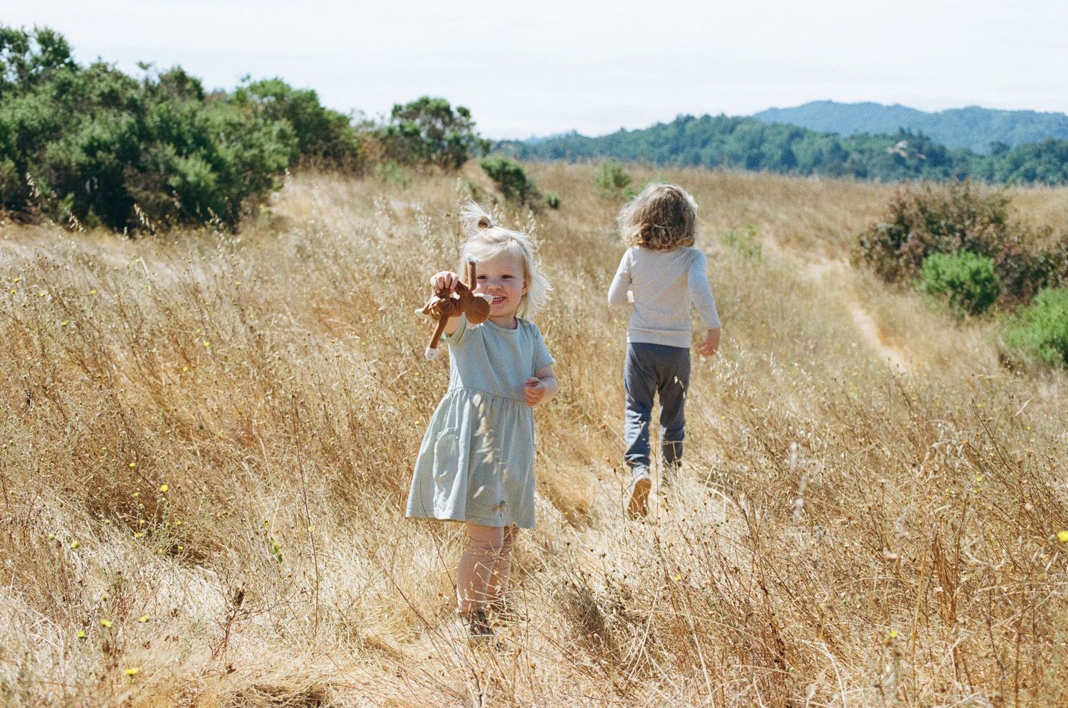 Photo from Discover the Perfect Family Photo Spot: Hidden Gem in San Rafael's Hills