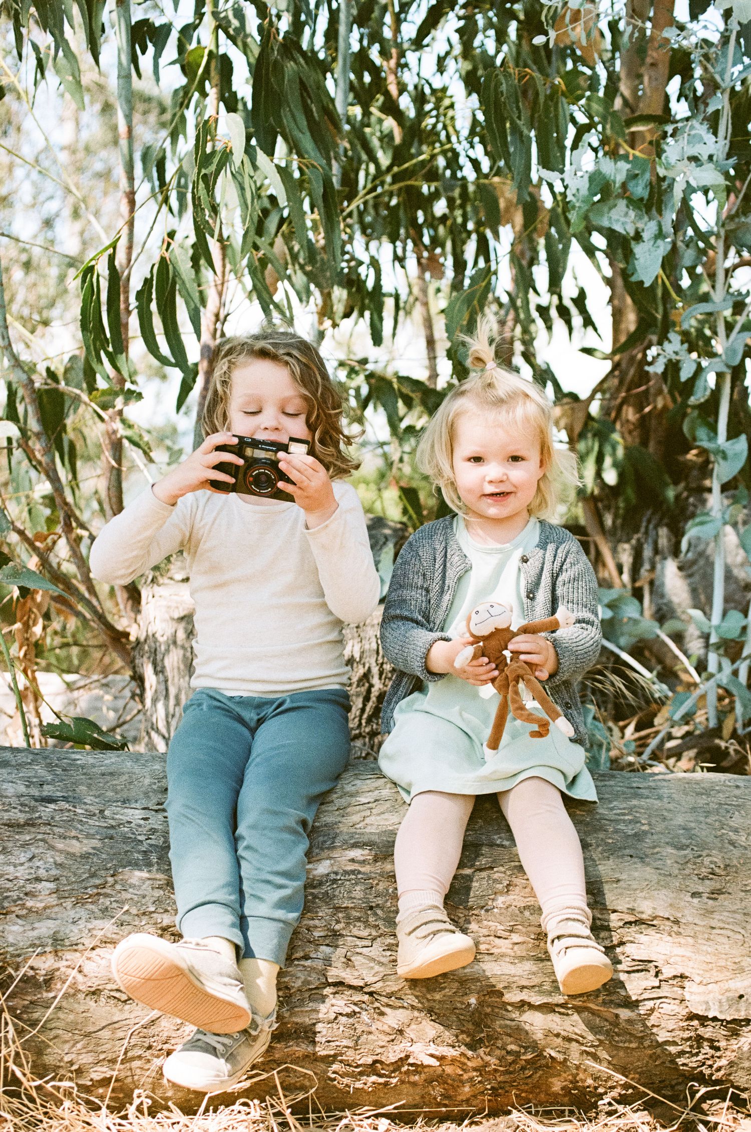 Photo from Discover the Perfect Family Photo Spot: Hidden Gem in San Rafael's Hills