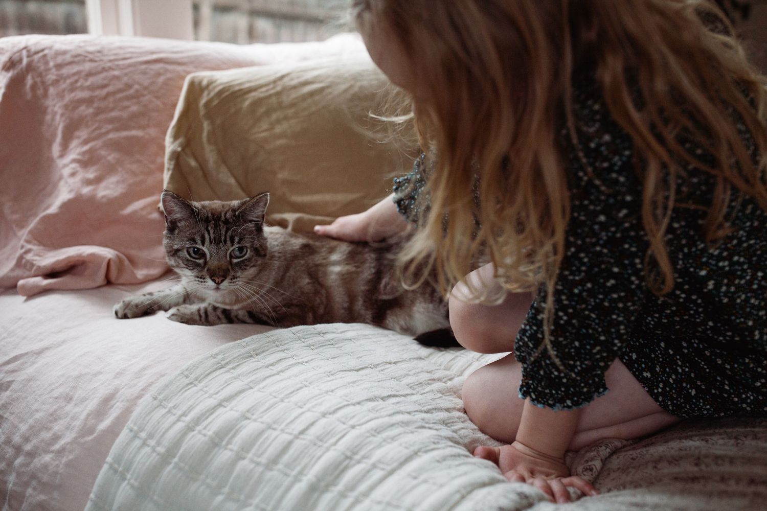Photo from STORIES FROM HOME
