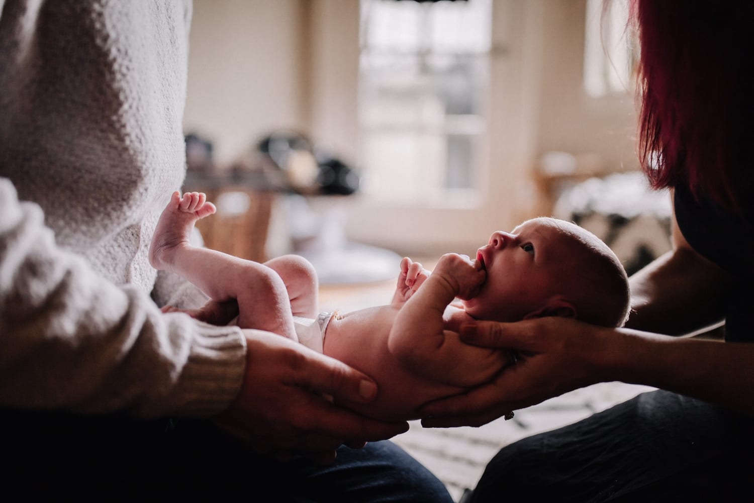 Mom and dad's hands hold their newborn between them, baby gazing up