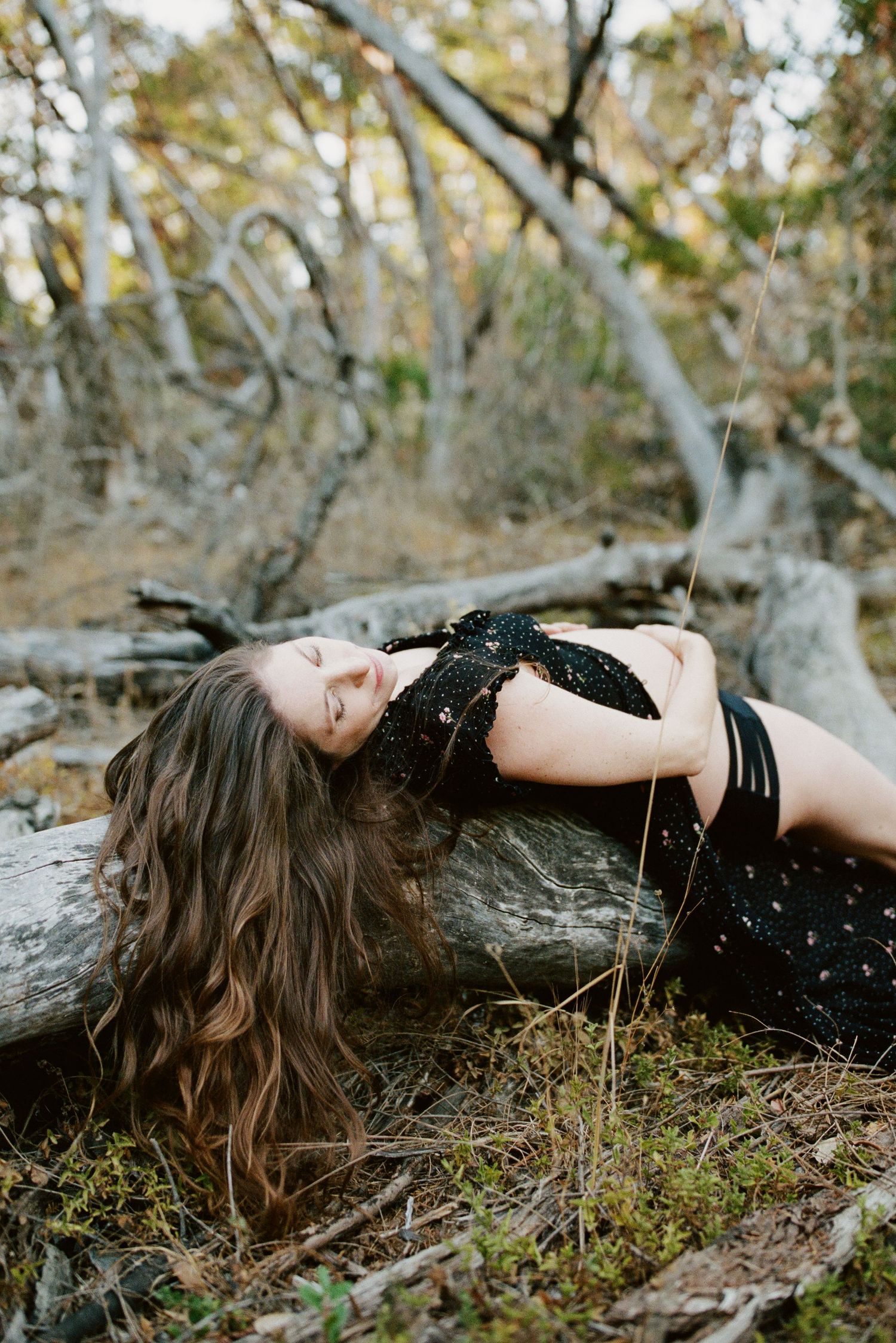 Dramatic maternity portrait lying on fallen trees in a forest